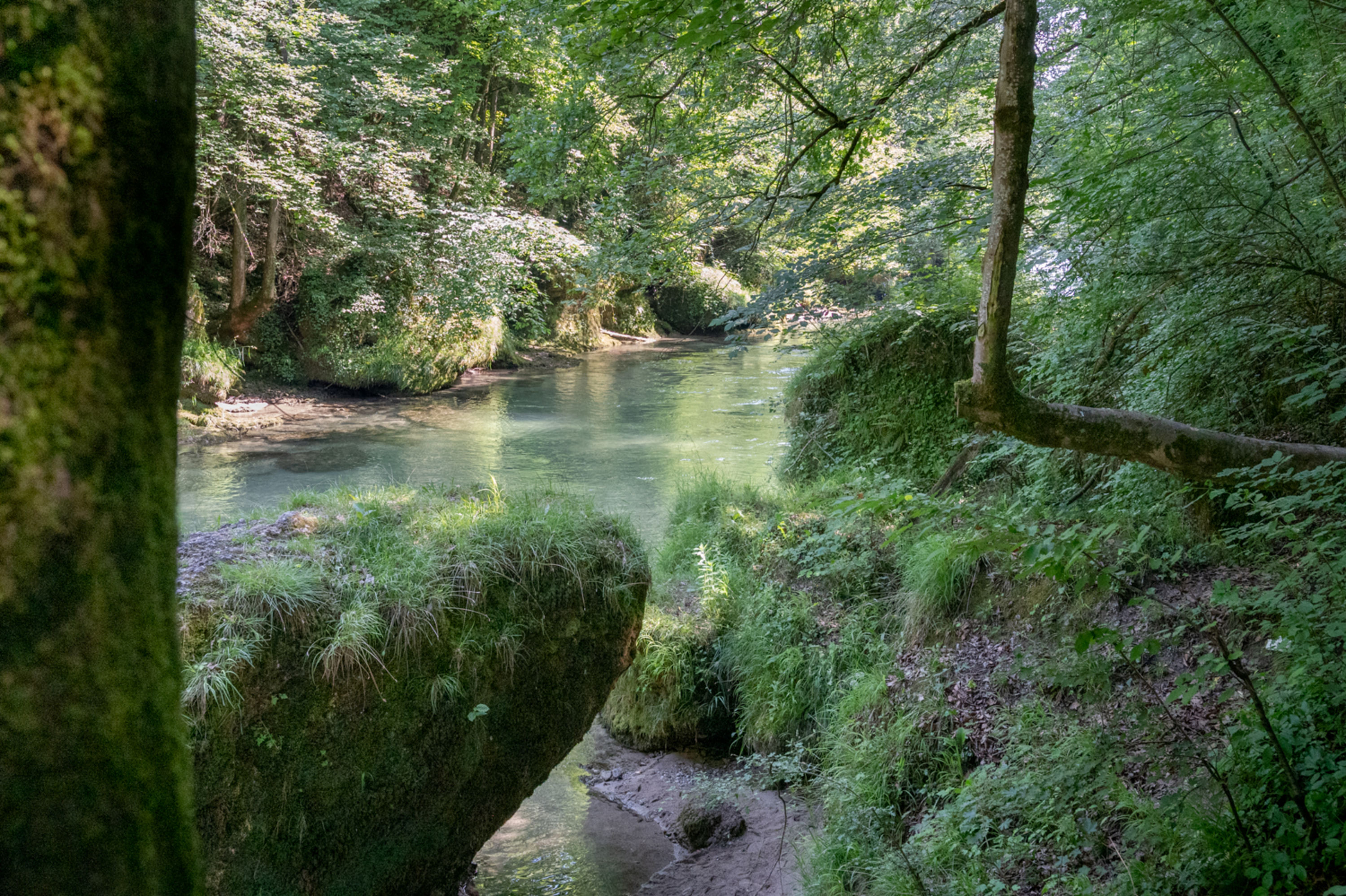 Erlaufschlucht bei Purgstall, Fischersteig