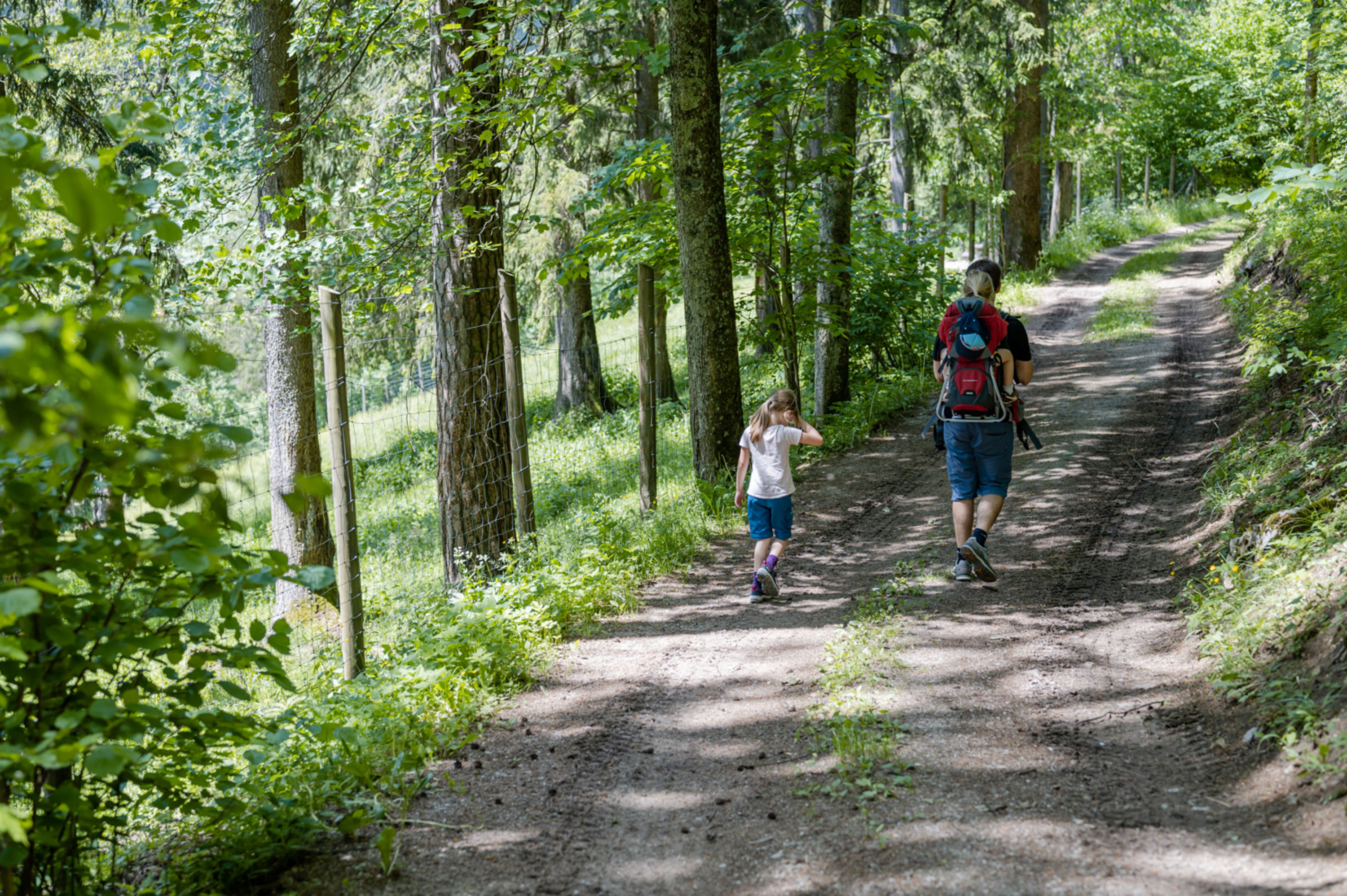 Naturpark Falkenstein Rundwanderweg