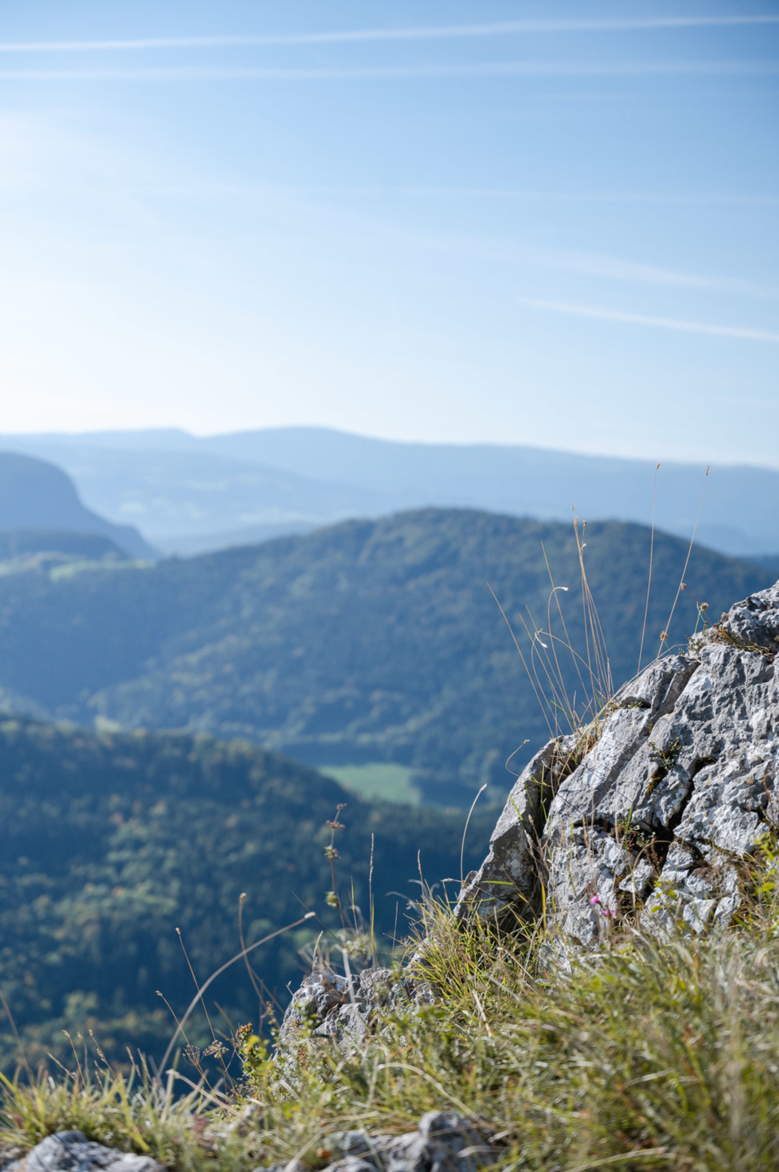 Aussicht bei der Pause am Weg zur Geländehütte, Wandern am Gelände bei Grünbach