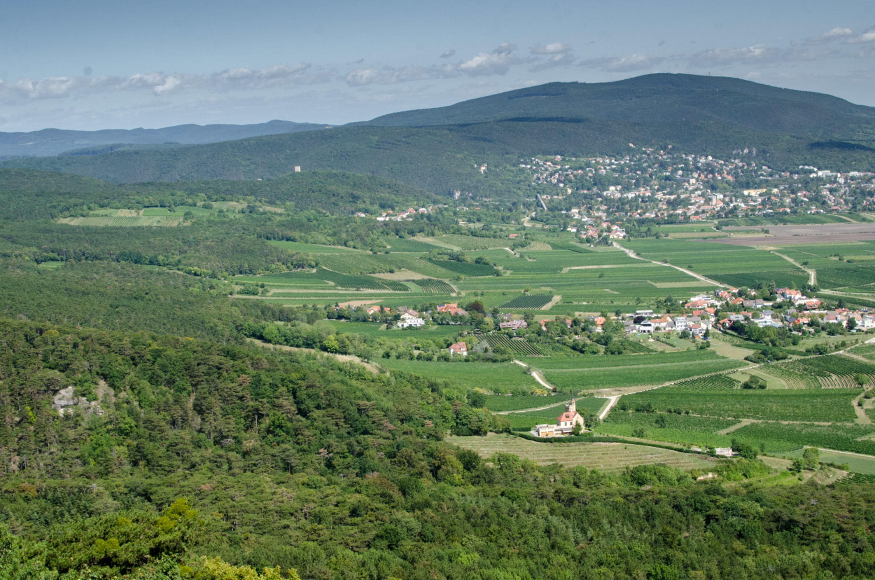 Aussicht von der Jubiläumswarte am Harzberg in Richtung Baden