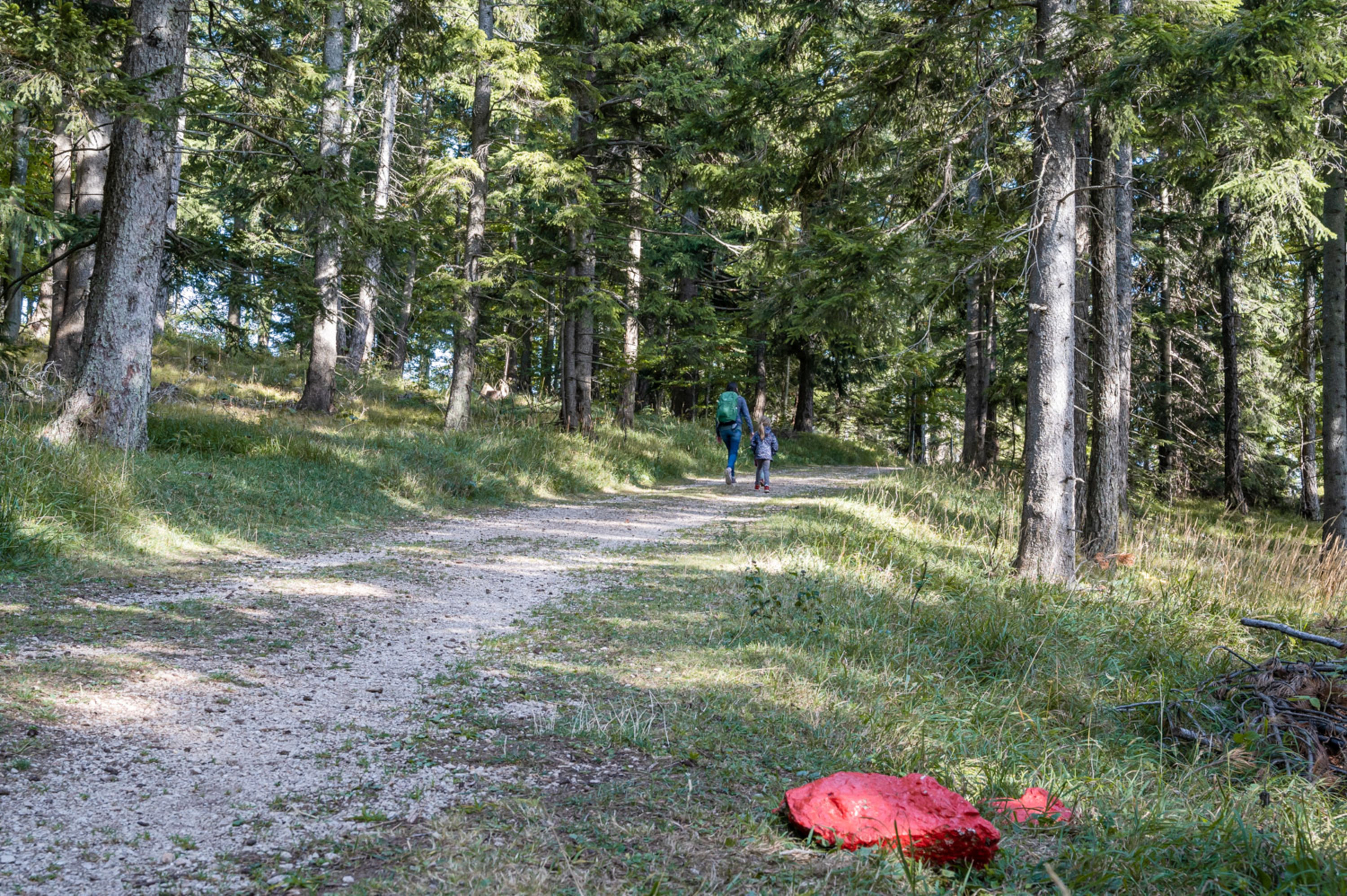 Weg am Hexenwald auf der Hohen Wand