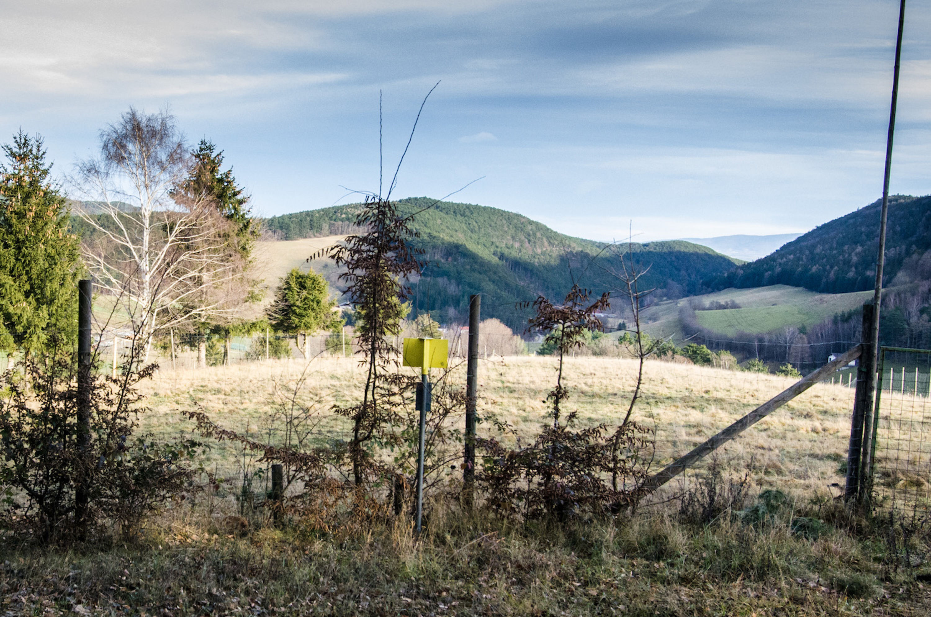 Hubertusrunde Schrattenbach