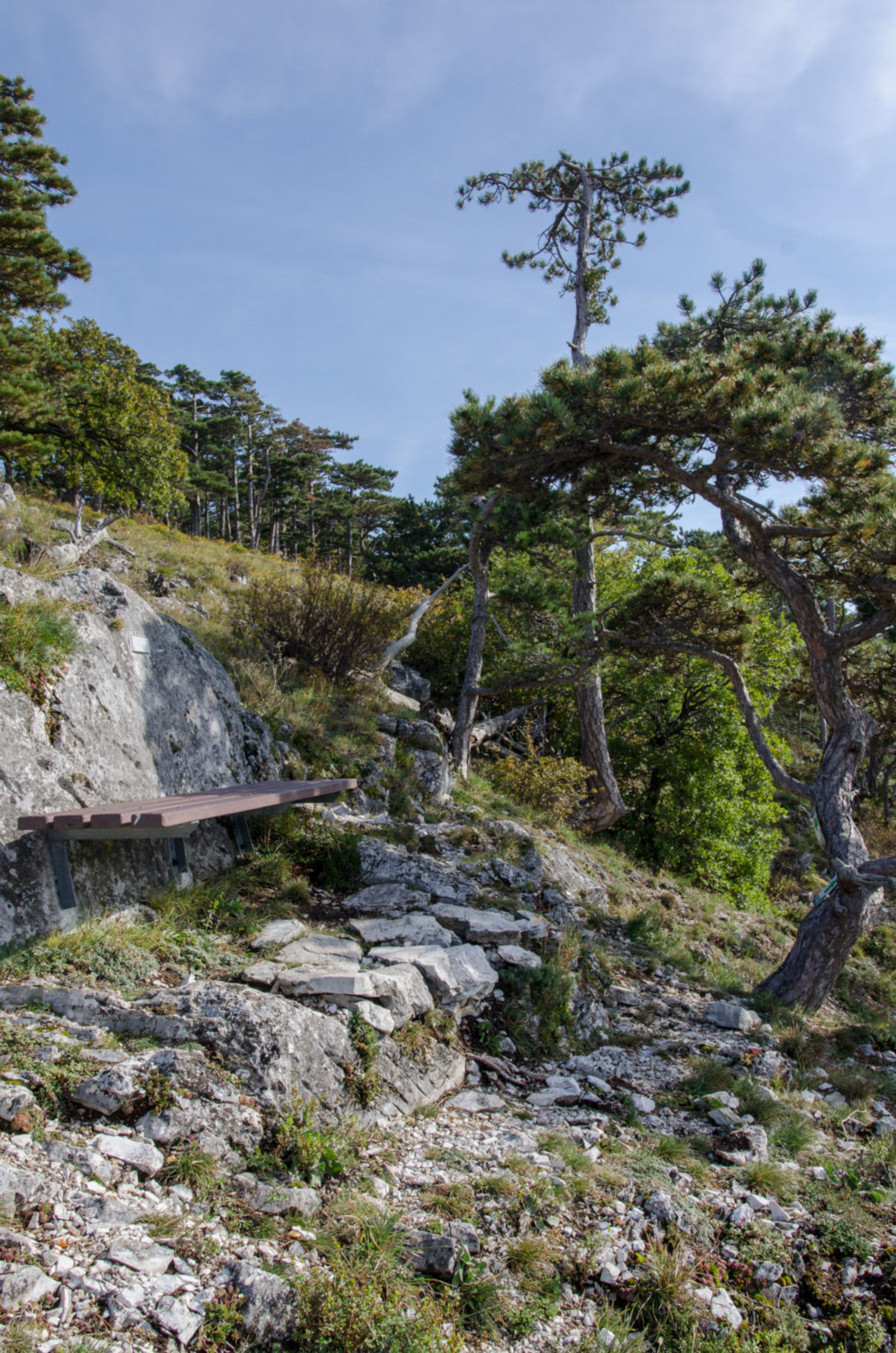 Bank am Irmafelsen am Kienberg