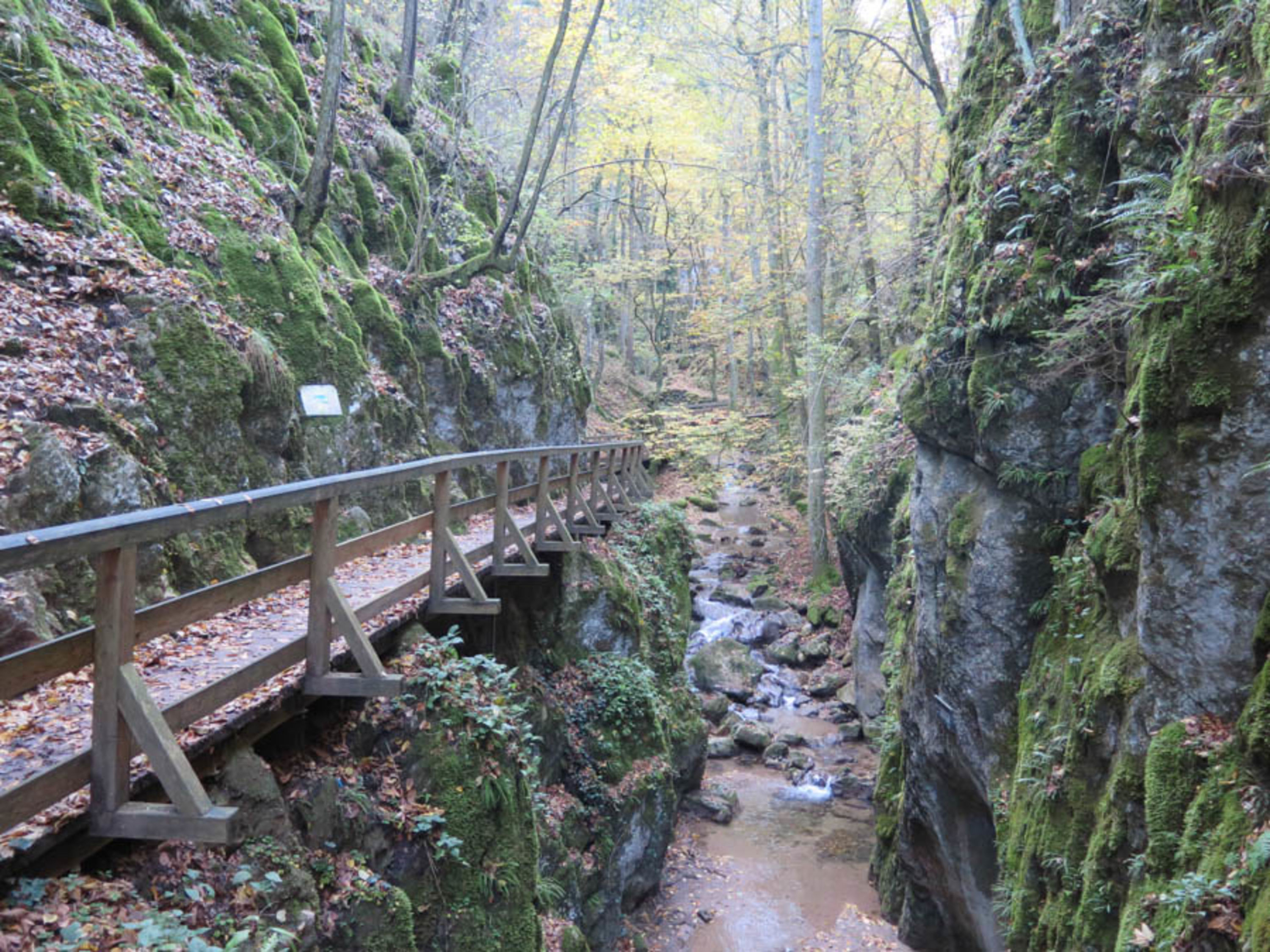 Johannesbachklamm im Herbst