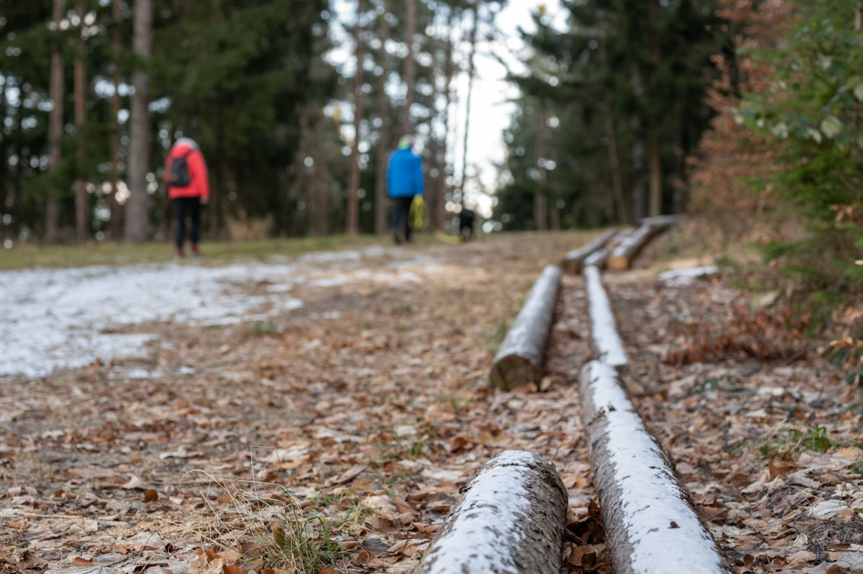 der erste Schnee beim Wandern zur Burg Grimmenstein am Kulmriegel