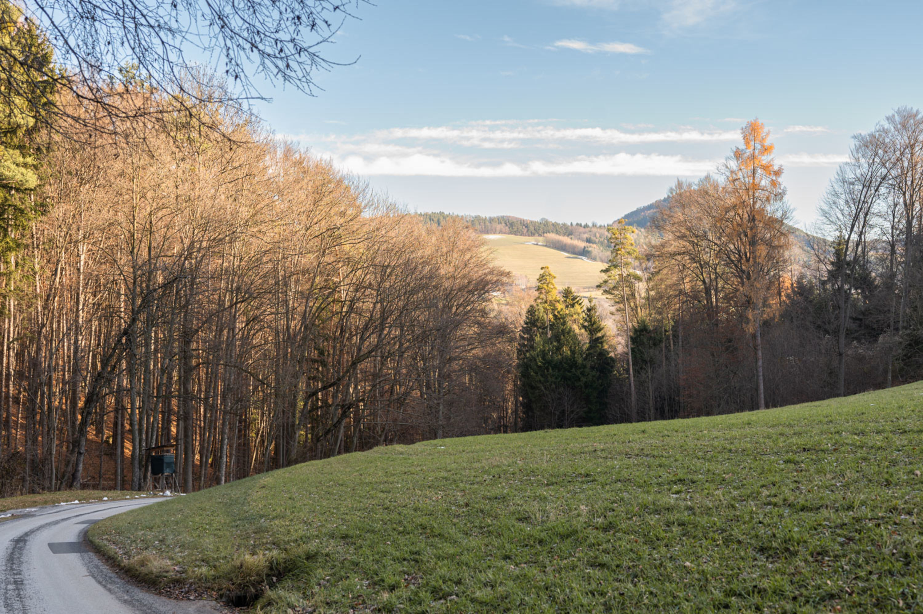 Weg beim Wandern zur Burg Grimmenstein am Kulmriegel