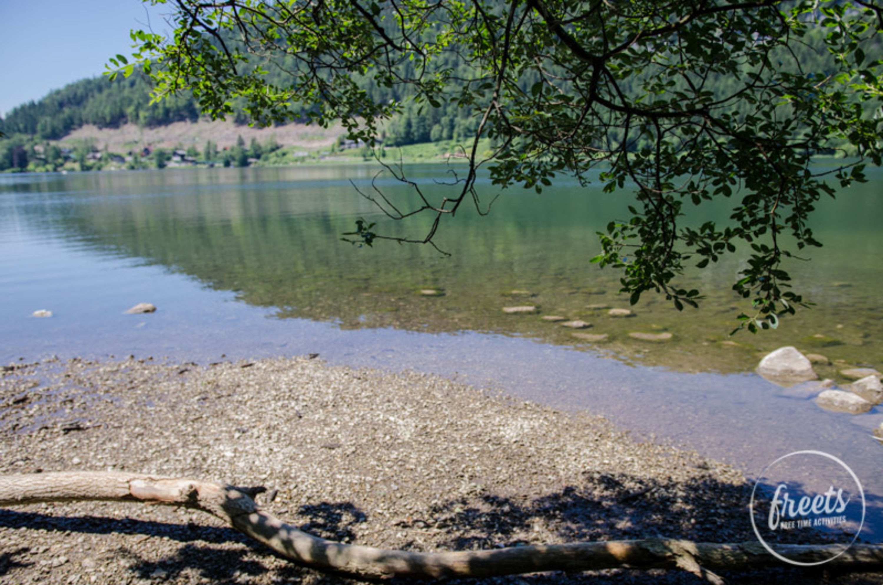 Seeufer am Lunzer See bei einer Rundwanderung um den See