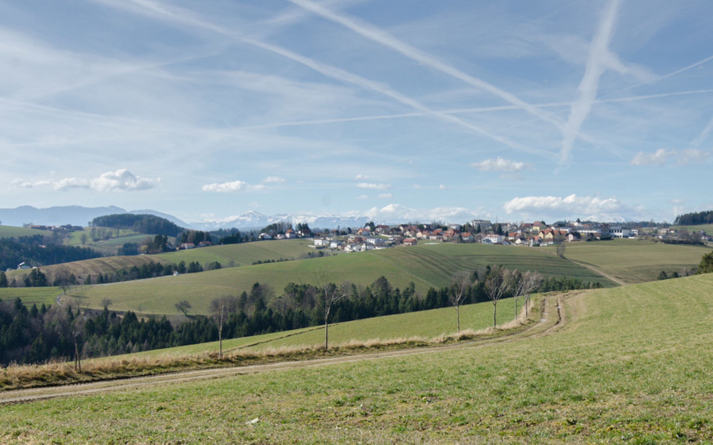 Aussicht bei Mandl's Ziegenhof in der Buckligen Welt, Frühling