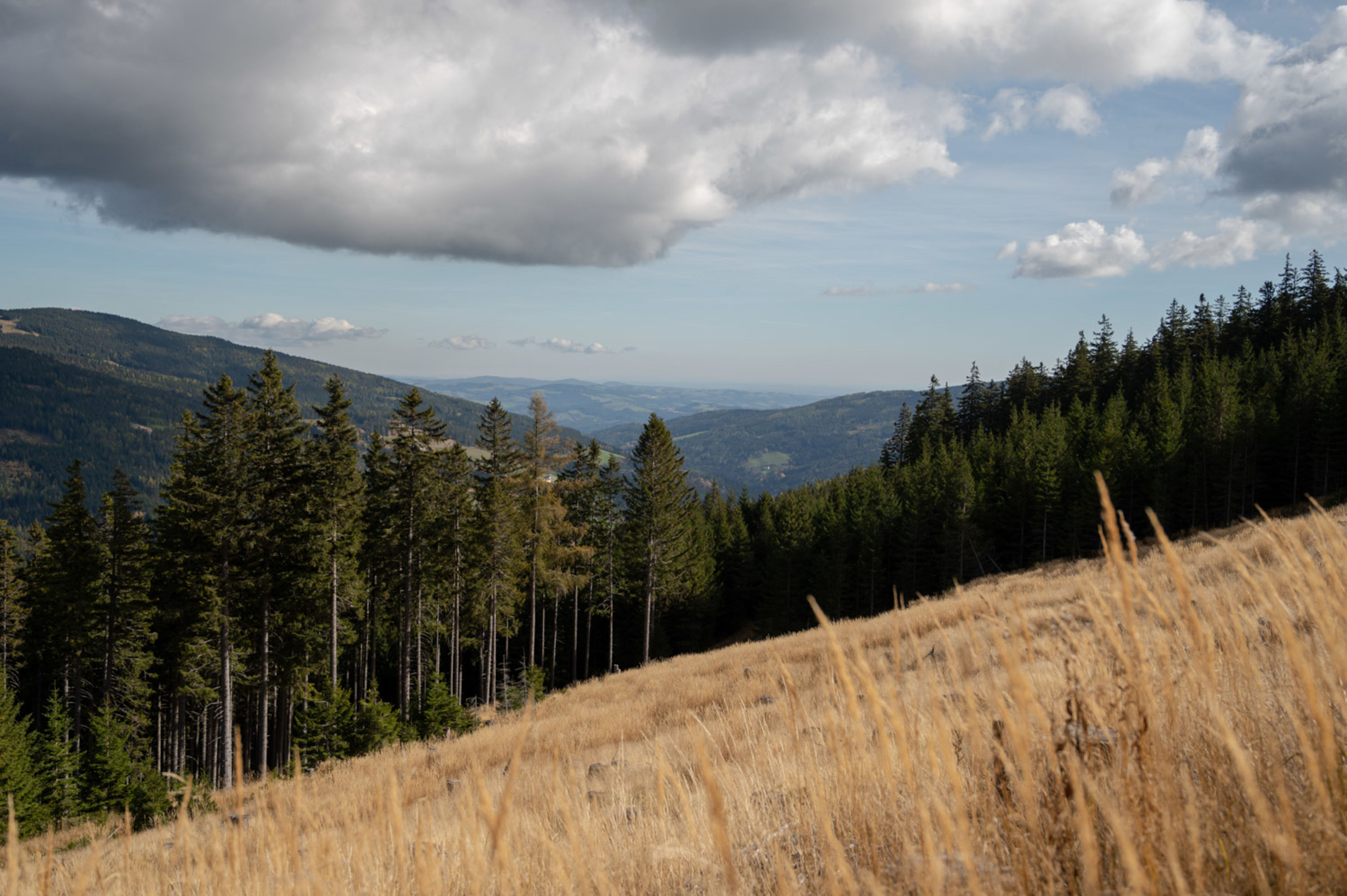 Aussicht beim Wandern zur Marienseer Schwaig
