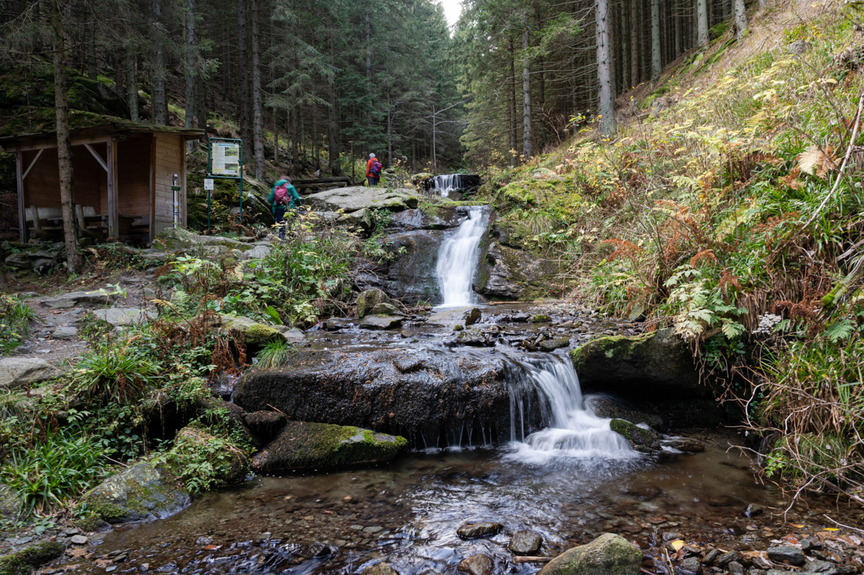 oberhalb des Wasserfalls am Pöstlingbach bei Mariensee, Wanderung am Themenweg Wildwasser