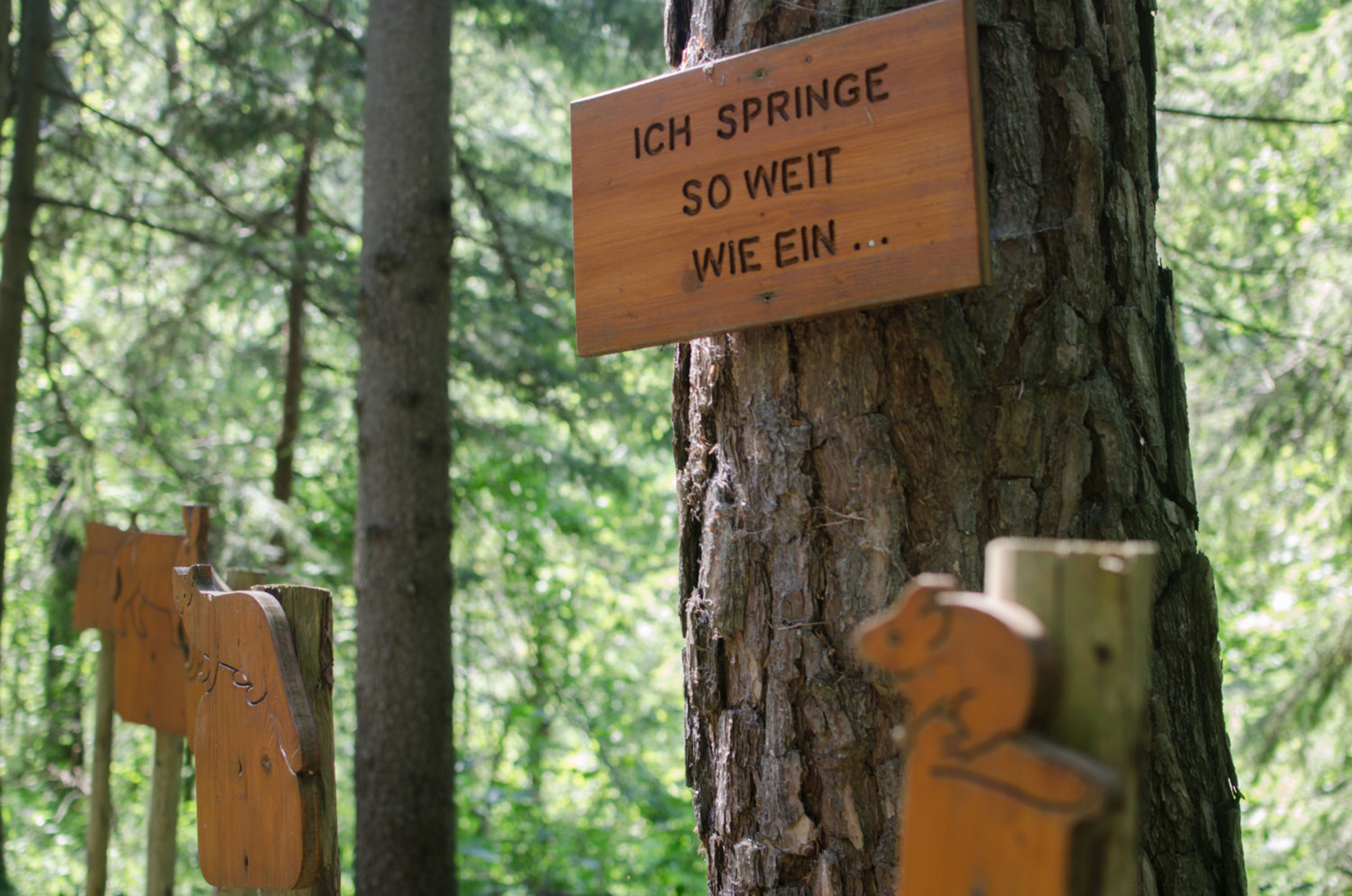 Wetthüpfen am Naturlehrpfad Kaiserbrunn