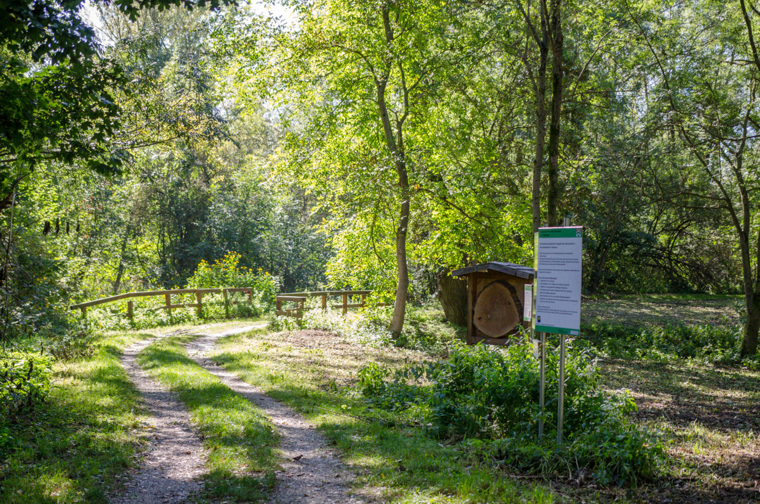 Spazierweg in der Leitha Au in Katzelsdorf