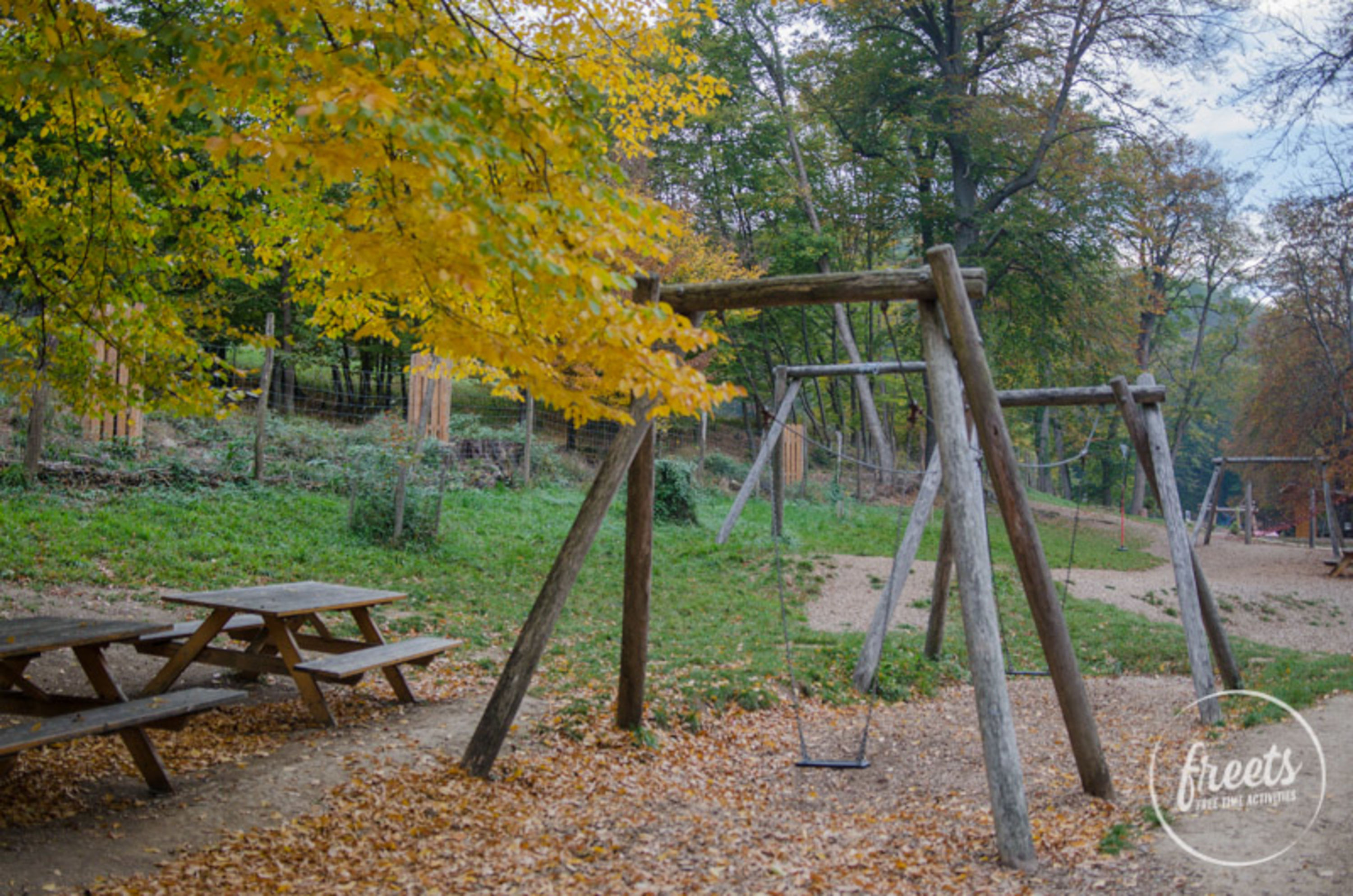 Waldspielplatz im Naturpark Sparbach Spielplatz, Schaukel im Herbst, Naturpark Sparbach
