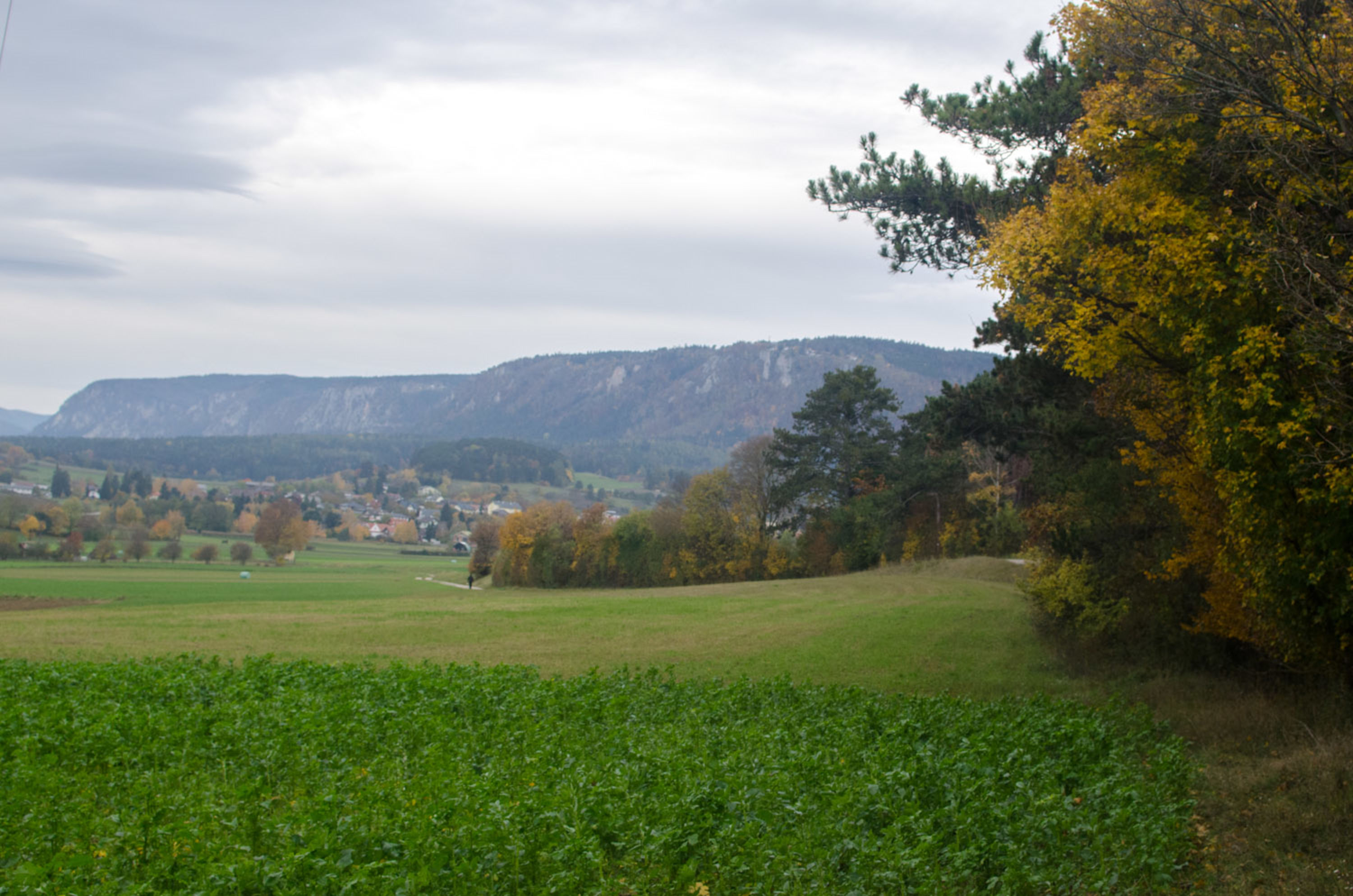 Blick auf die Hohe Wand von Piesting aus am Tut-Gut-Weg 1 zum Roten Kreuz