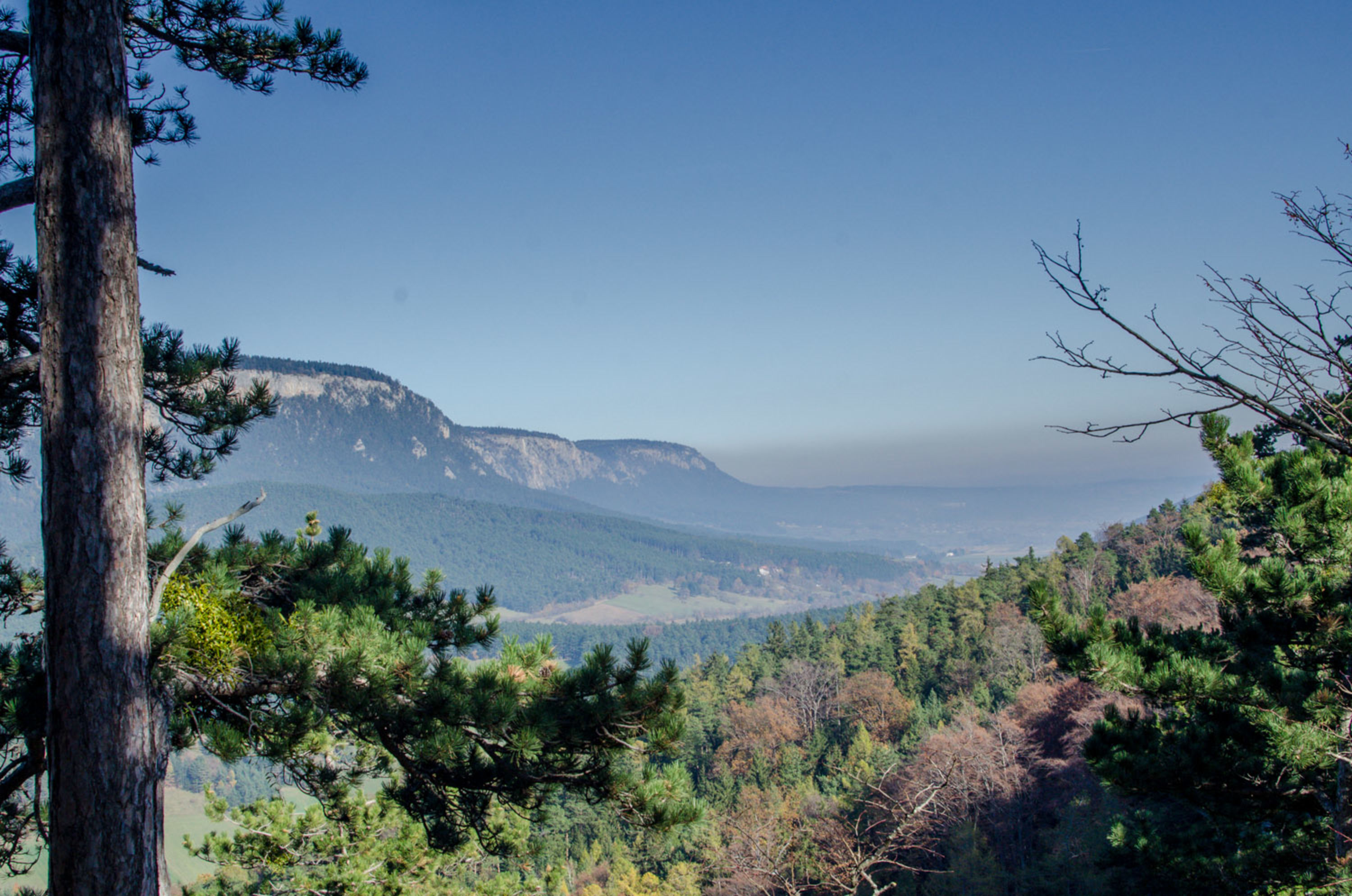 Aussicht von der Ruine Schrattenstein auf die Hohe Wand