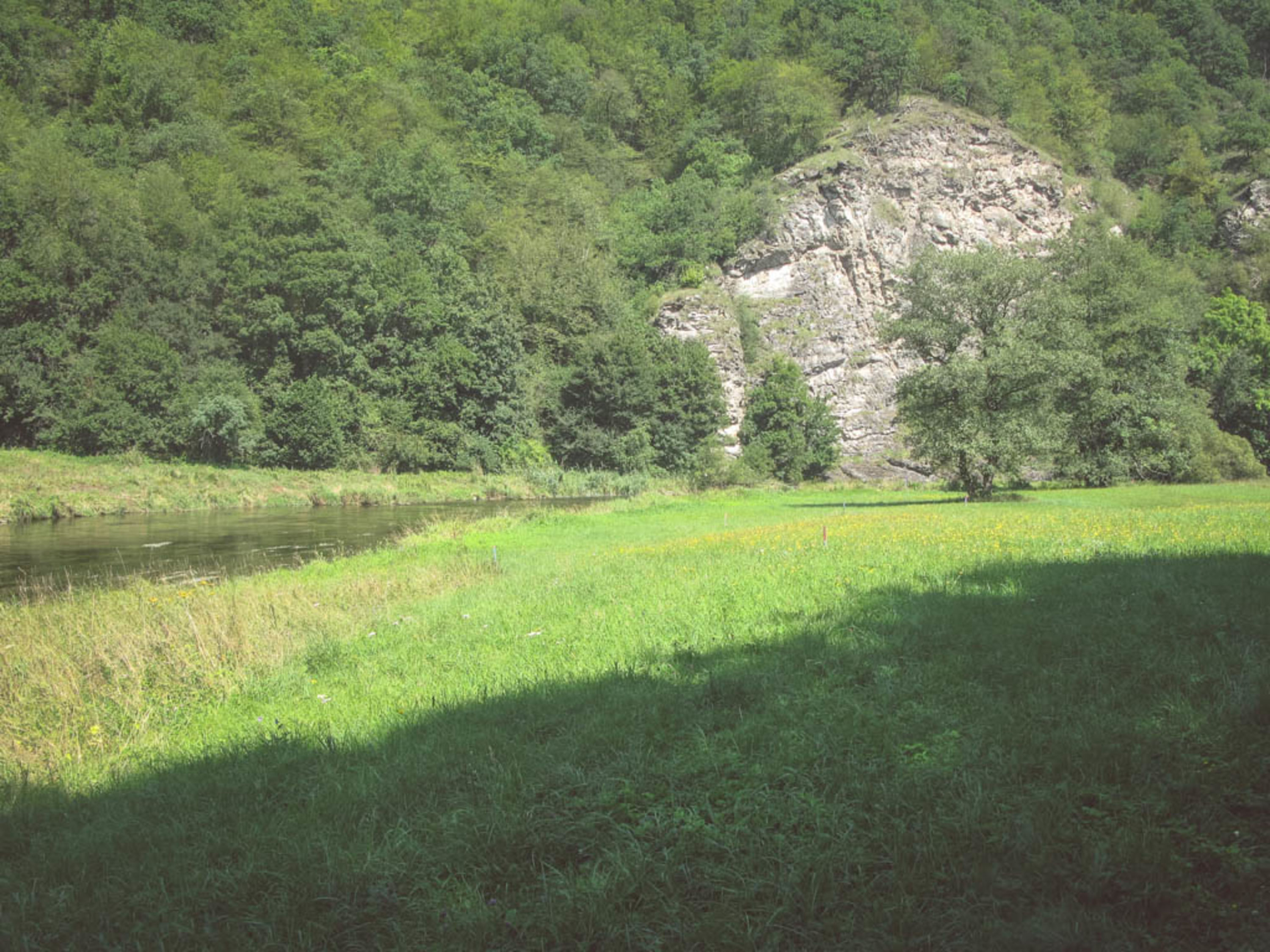Weg entlang der Thaya