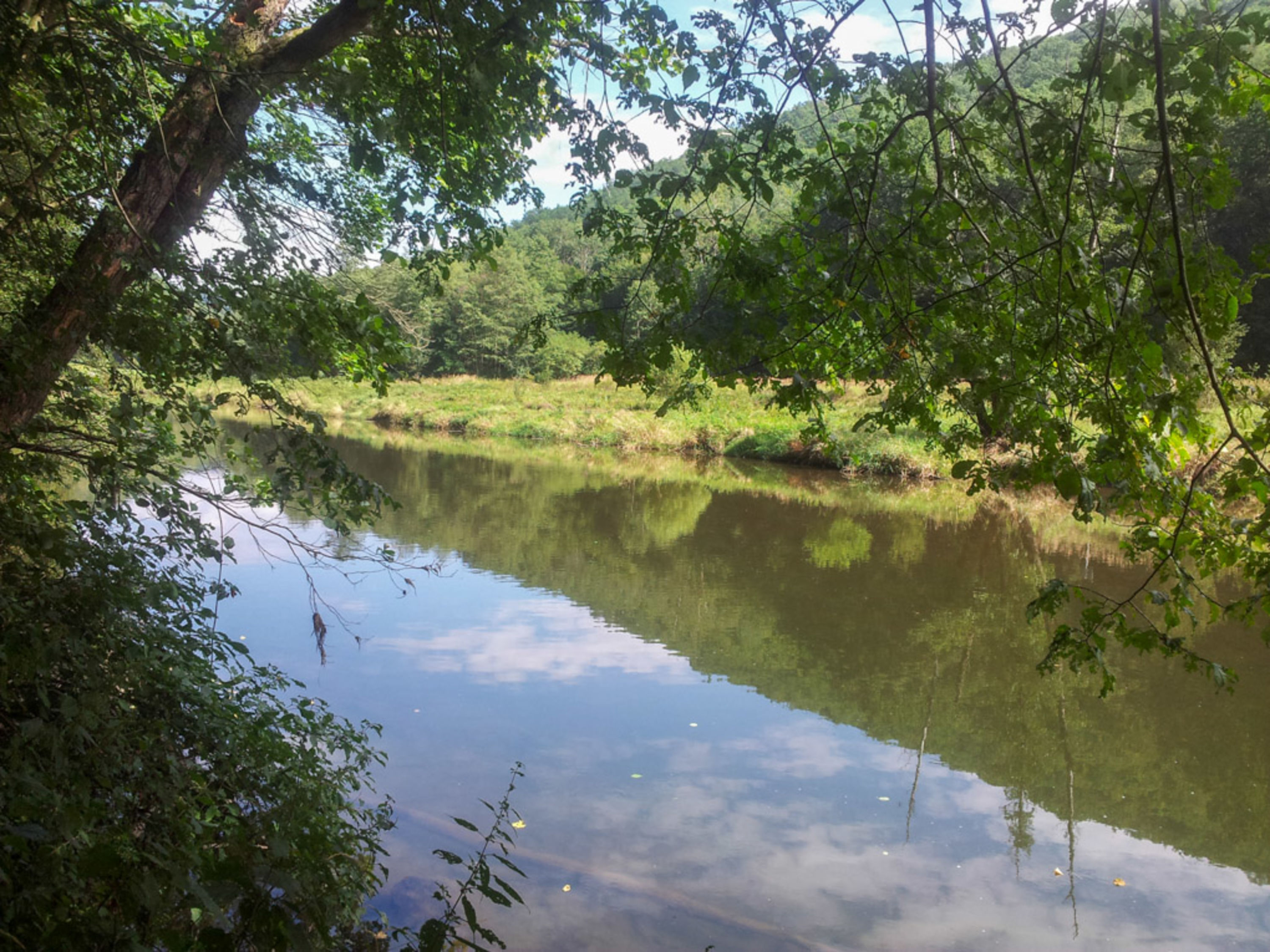 Blick auf die Thaya am Thayatalweg