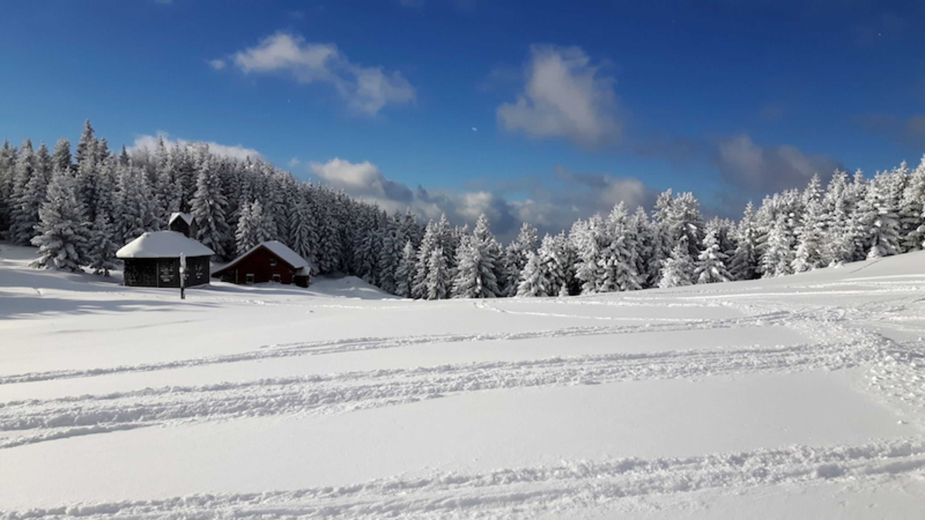 Unterberg im Winter