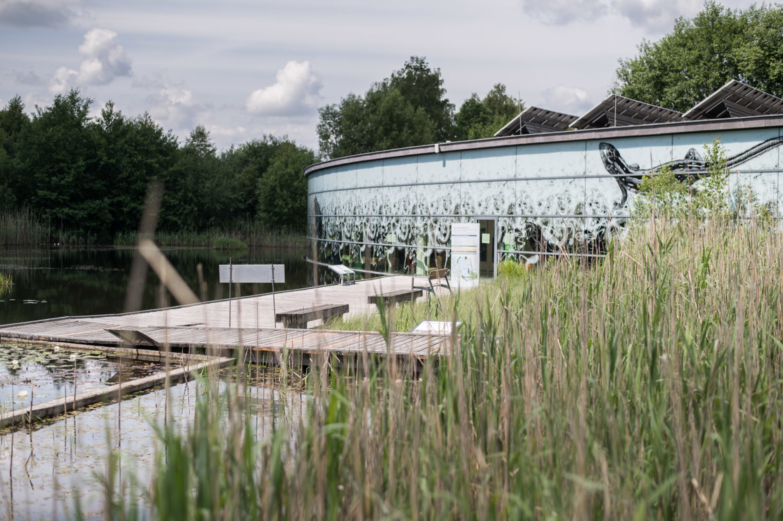 Schrems, UnterWasserrReich, Steganlage im Wassergarten