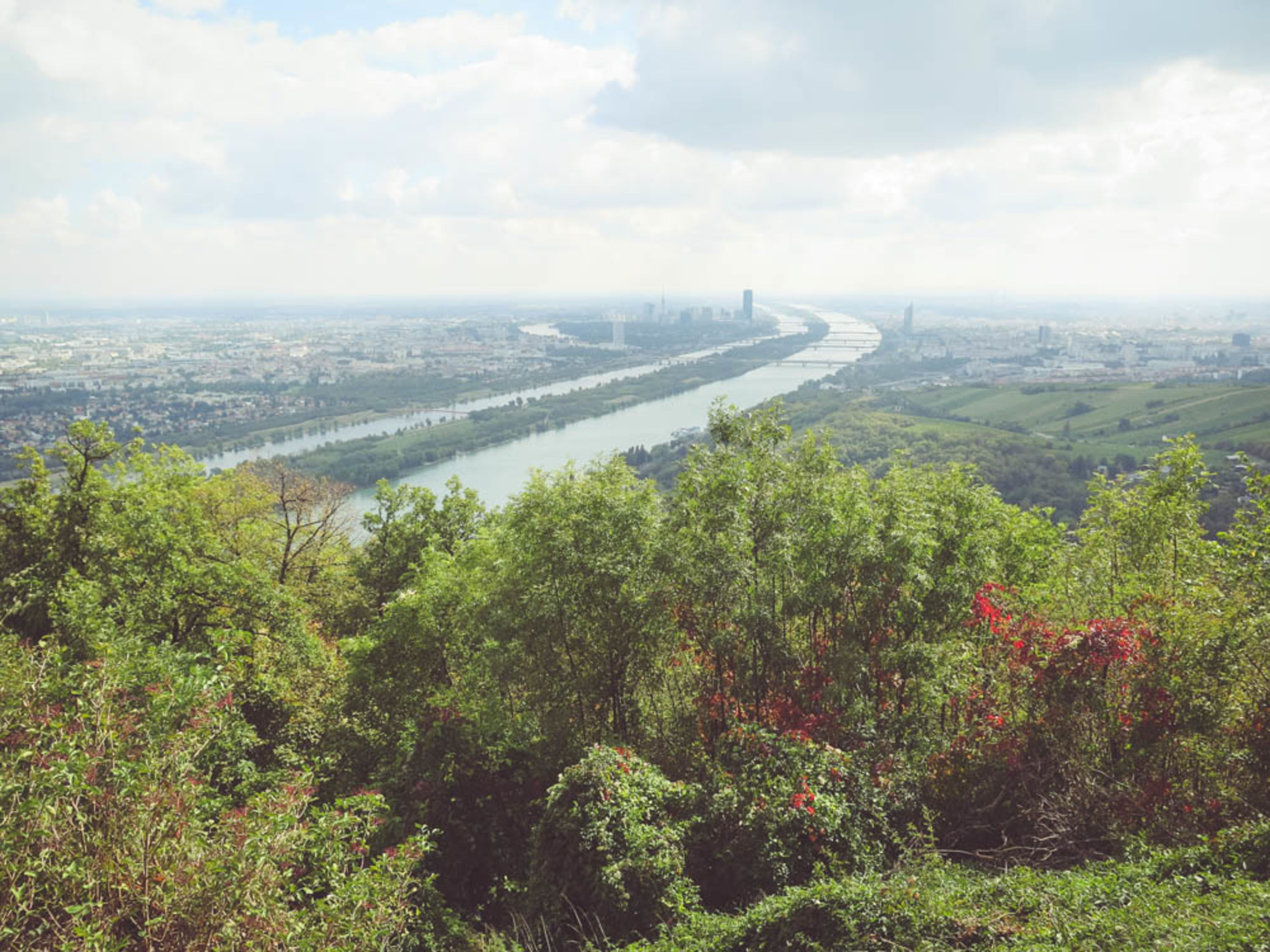 Leopoldsberg Wien Blick auf Wien vom Leopoldsberg aus