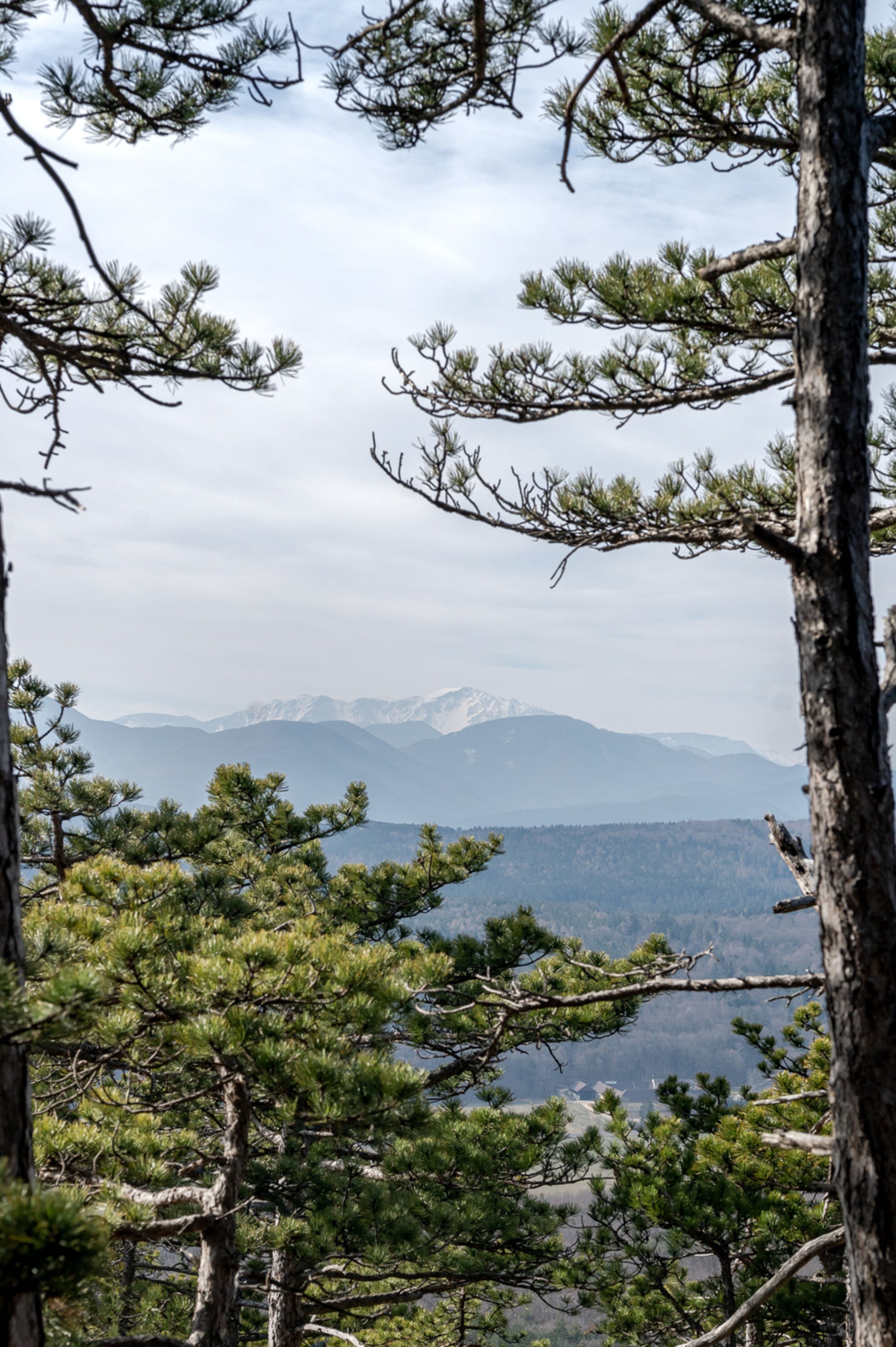 Wanderung zur Vöslauer Hütte Harzberg