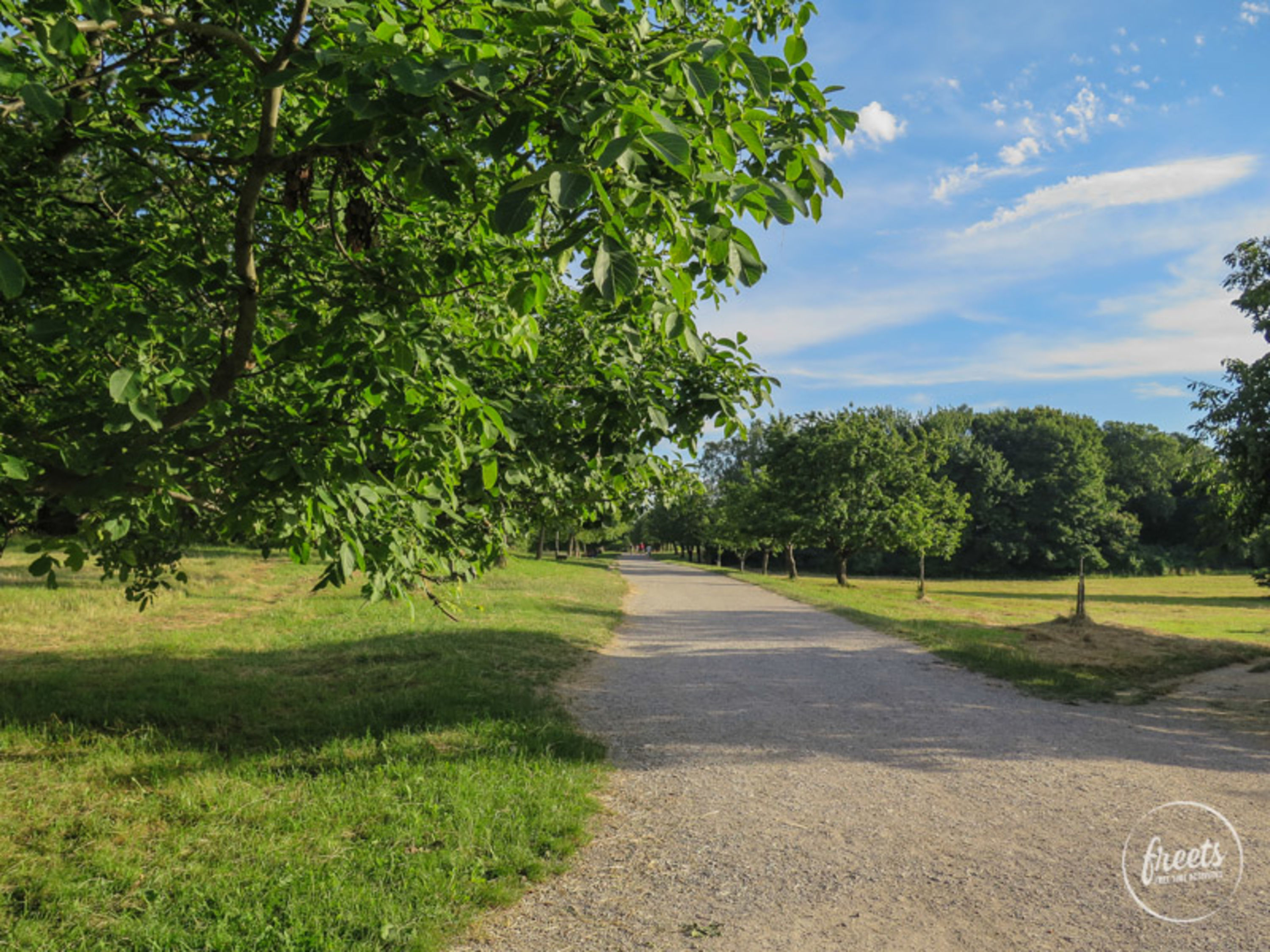 Spazierwege Steinhofgründe, Baumgarnter Höhe, Wien