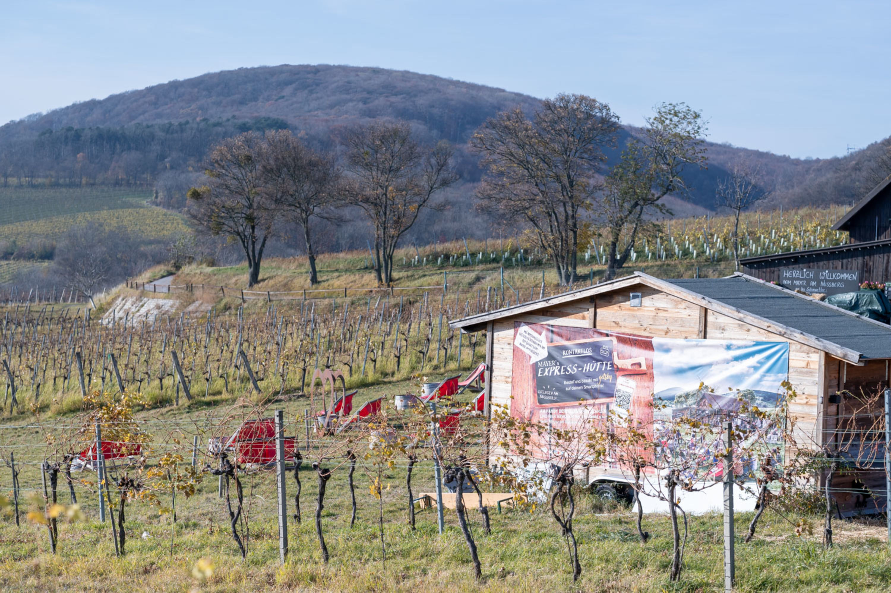 Heuriger in den Weinbergen Nussberg, Weinwandern in Wien, Heuriger in den Weinbergen im Herbst