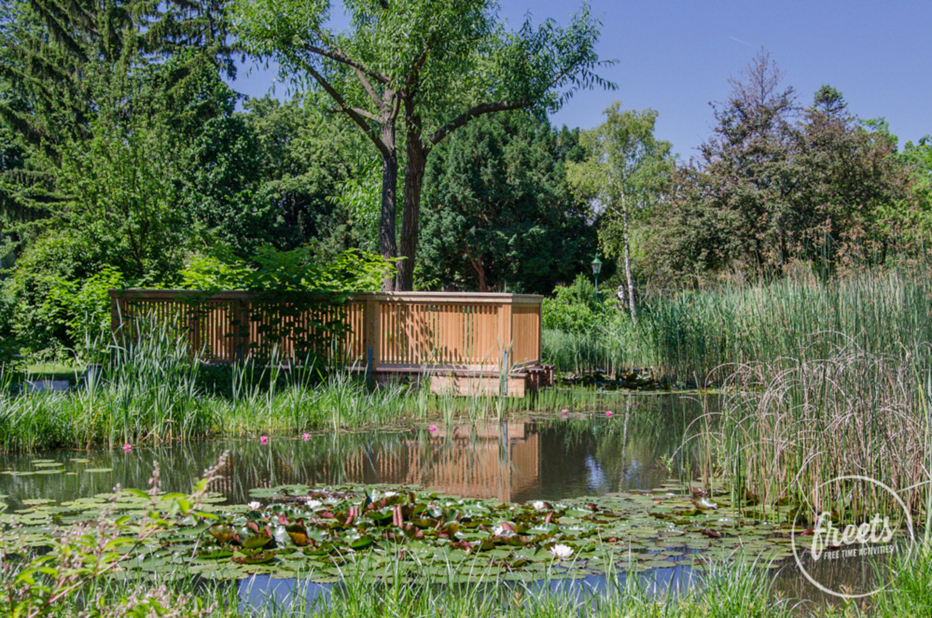 Stadtpark Wiener Neustadt Teich