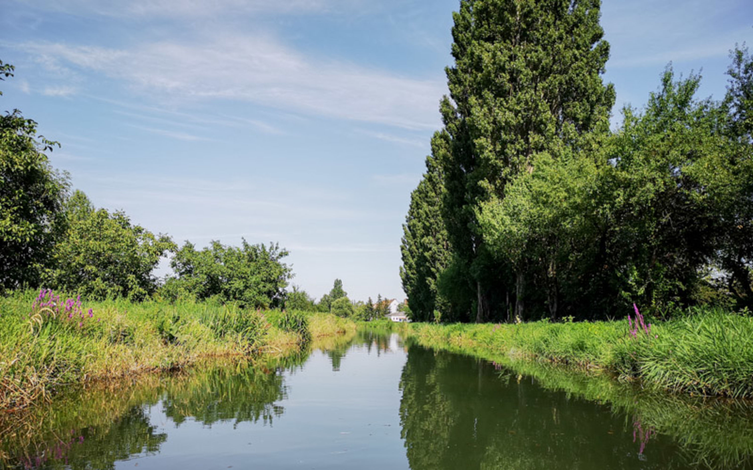Wiener Neustädter Kanal Bootsfahrt