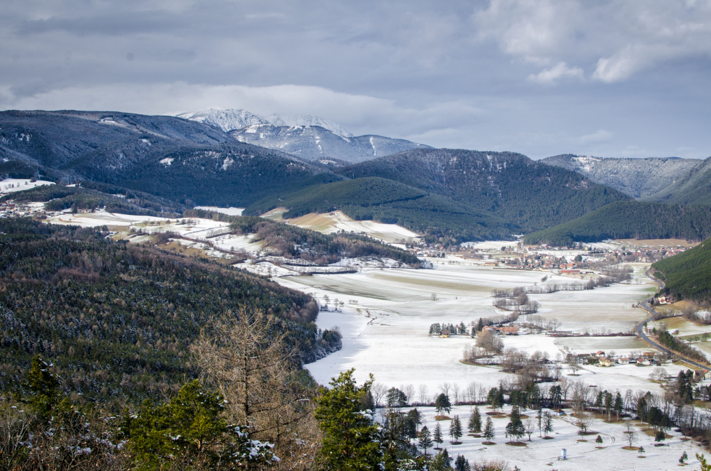 Bei einer Wanderung auf die Gfiederwarte kannst du die Stille des Waldes und eine großartige Aussicht genießen!