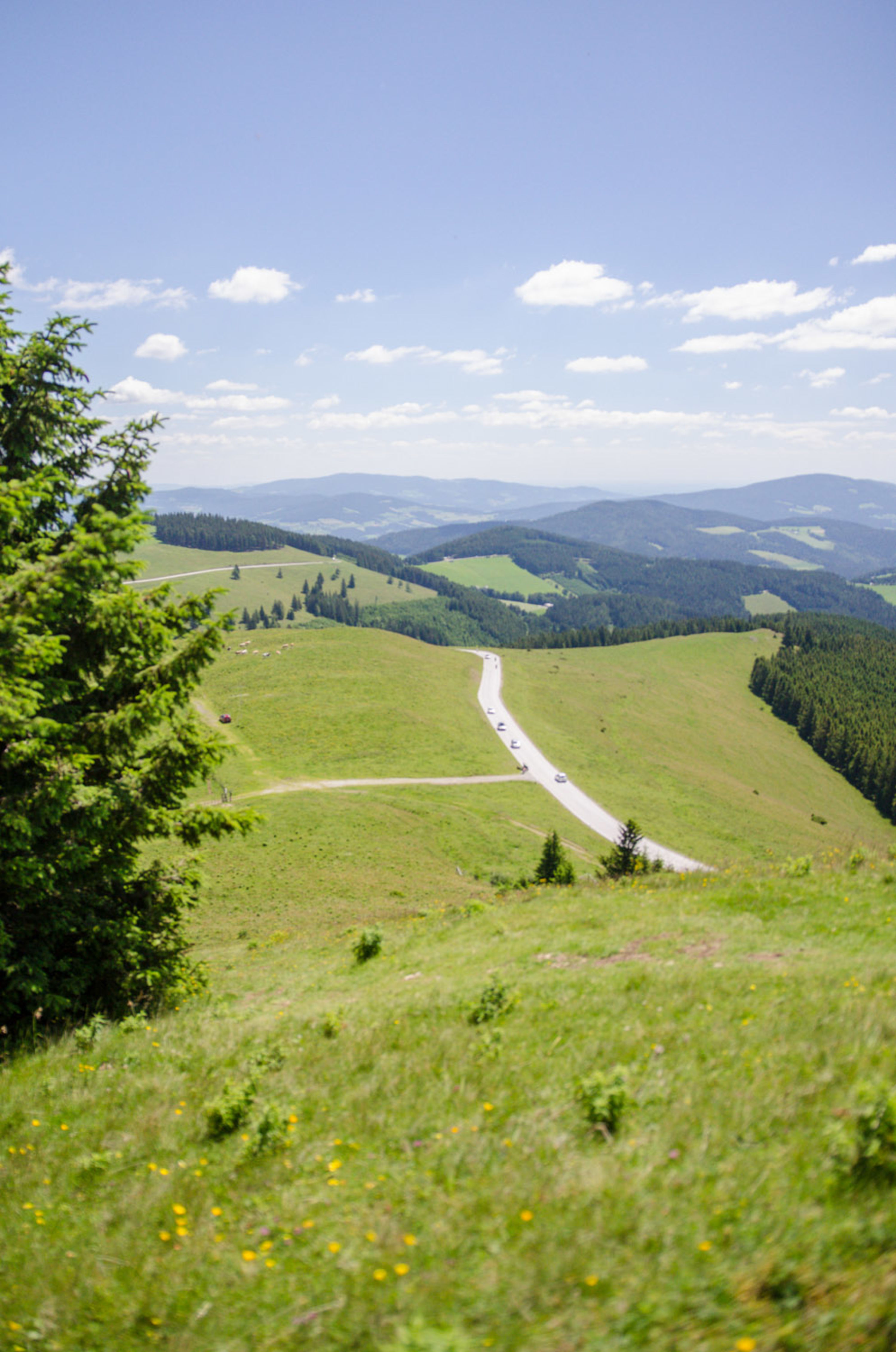 Aufstieg auf den Plankogel von der Stoakogelhütte auf der Sommeralm