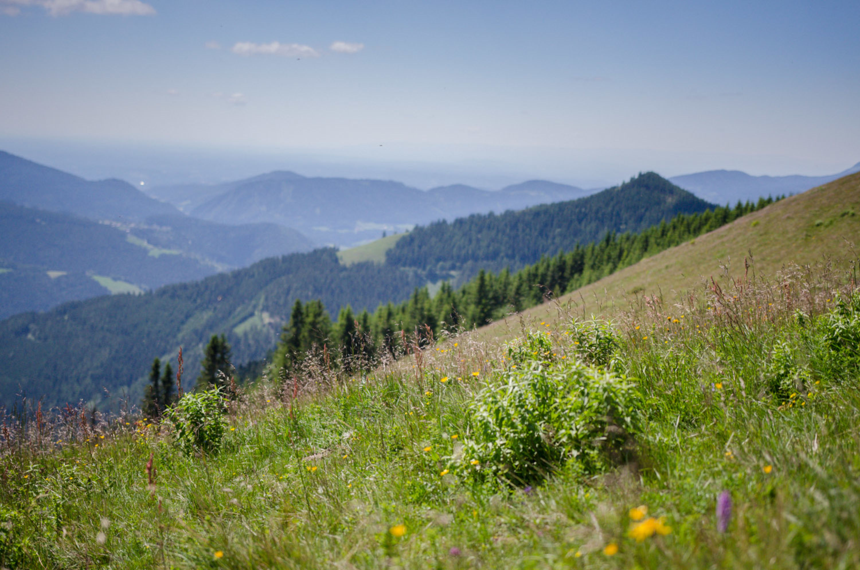 Gipfelweg am Plankogel auf der Sommeralm, Panorama
