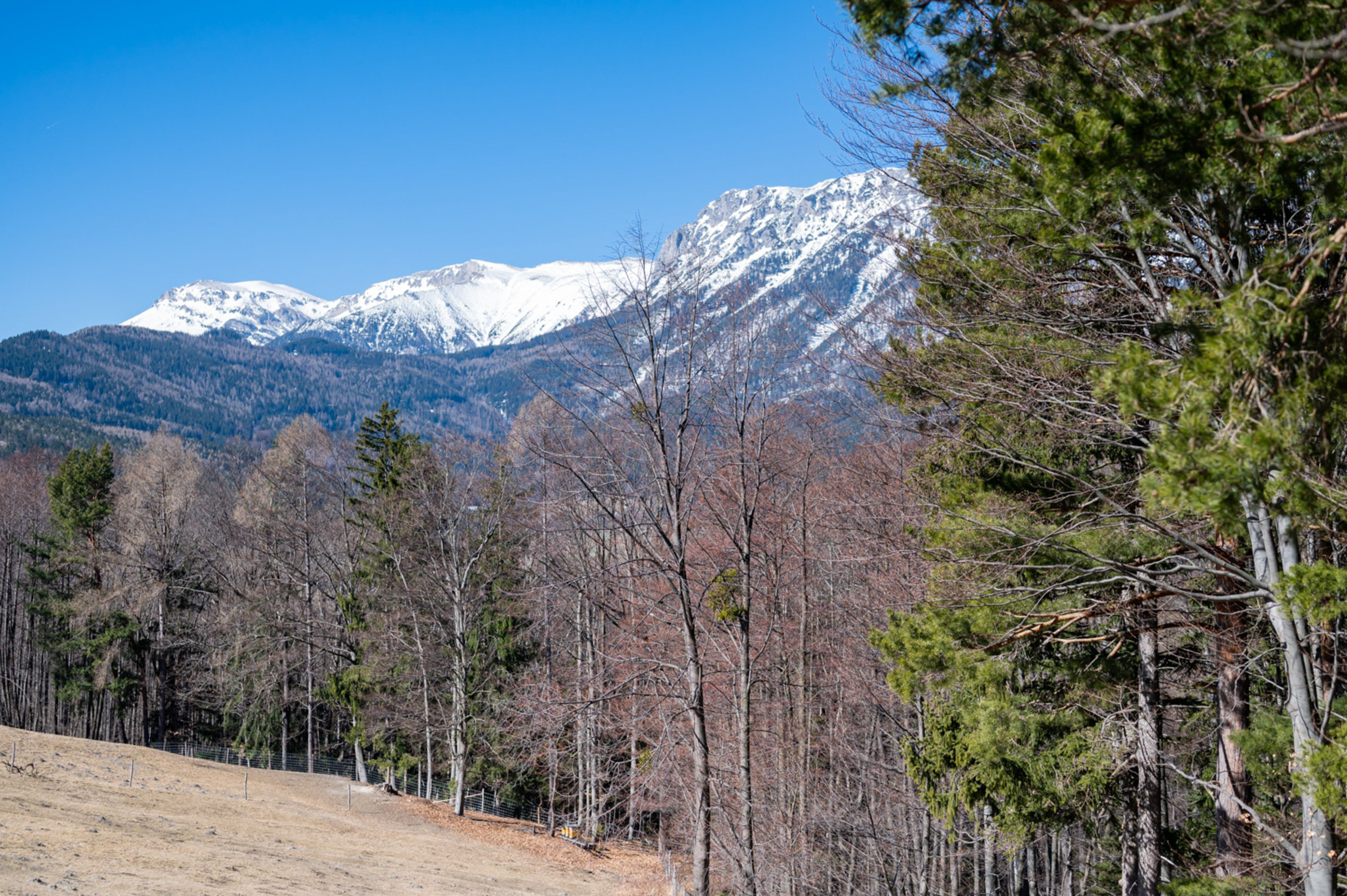 Traumtagerl ausgesucht; und eigentlich wäre allein die Landschaft schon einen Besuch wert.