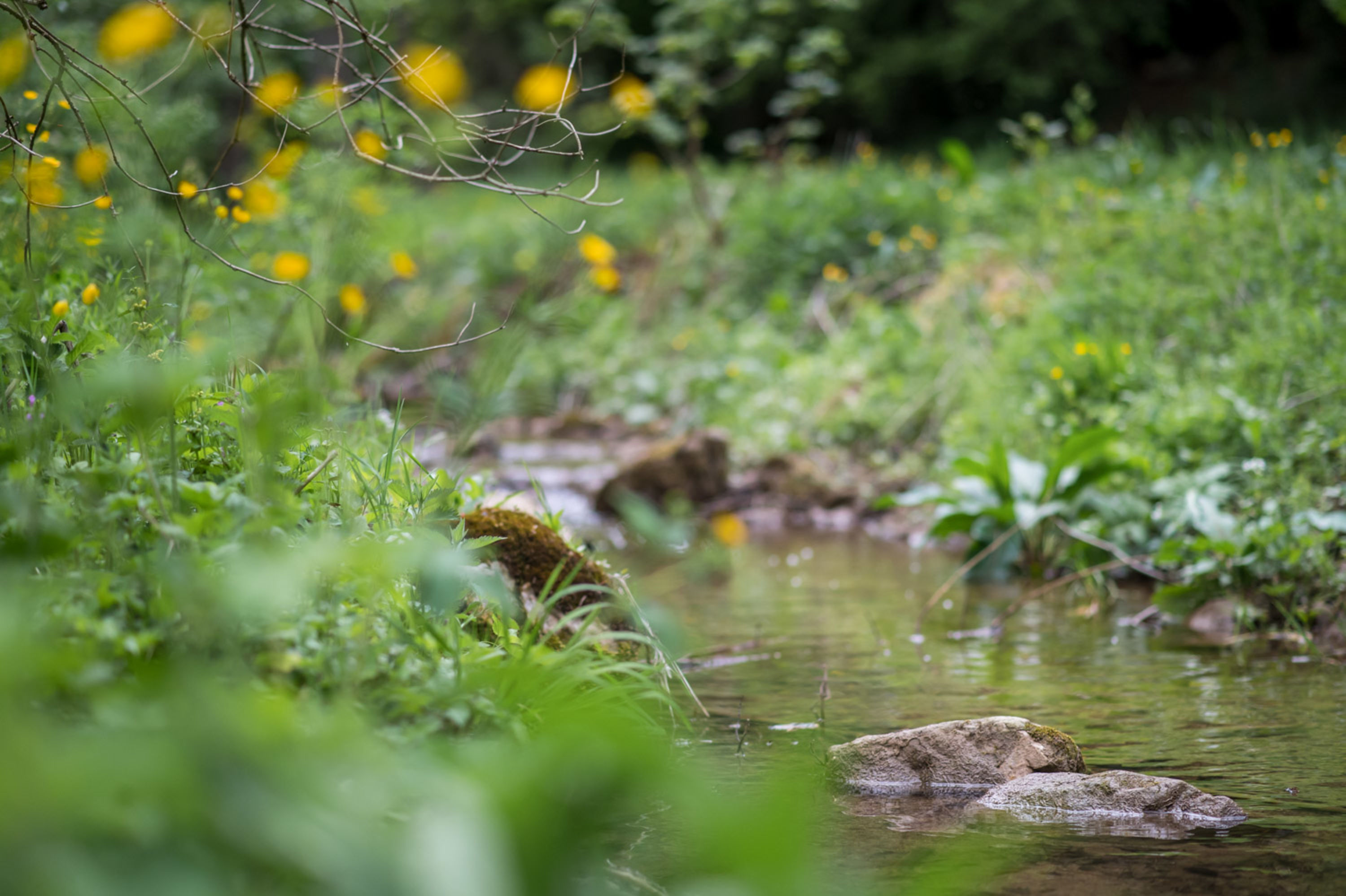 Johannesbach vor der Johannesbachklamm