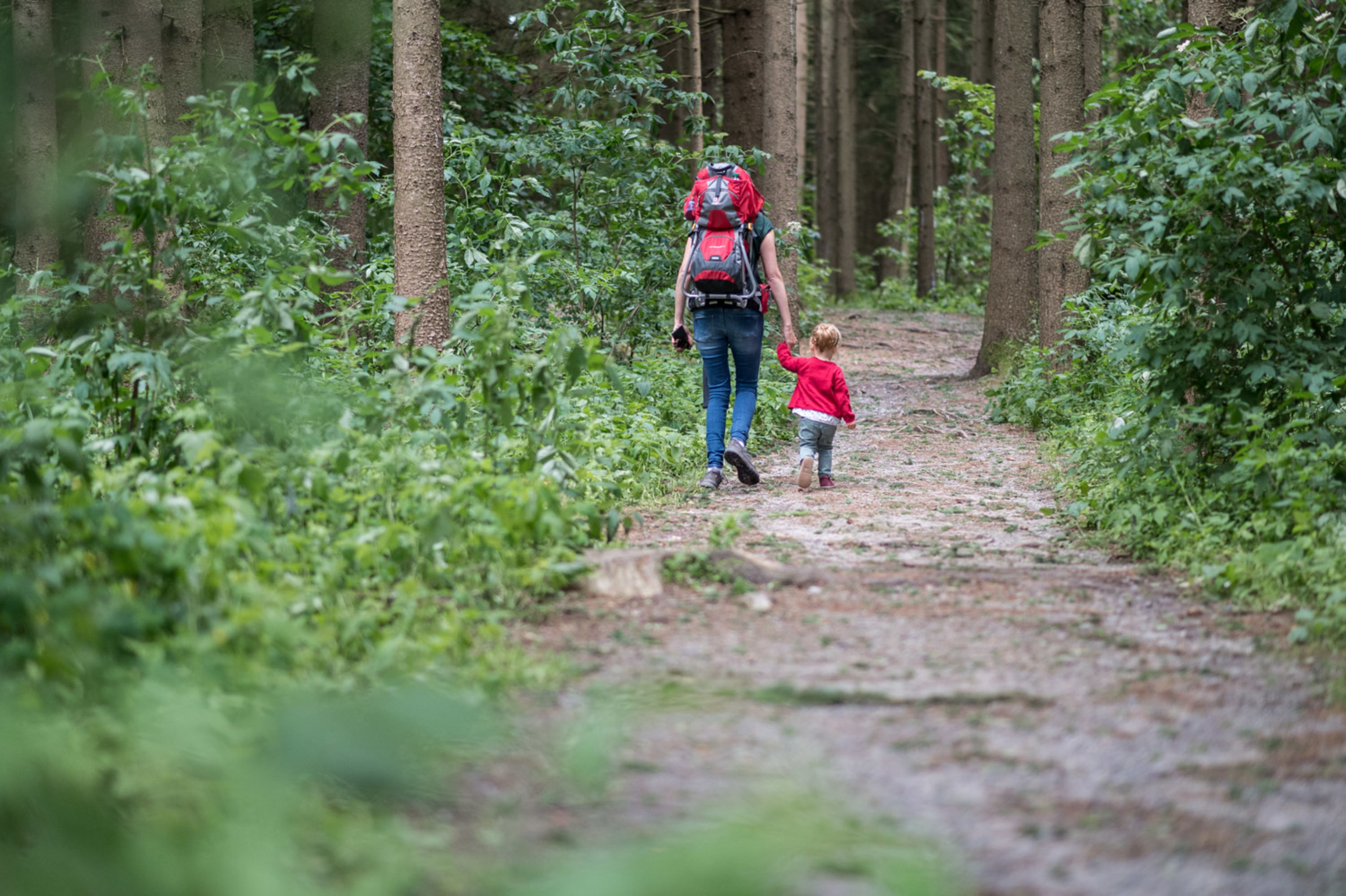 Naturparkweg Hochmoor Schrems Wanderer mit Kind am Naturparkweg Hochmoor Schrems