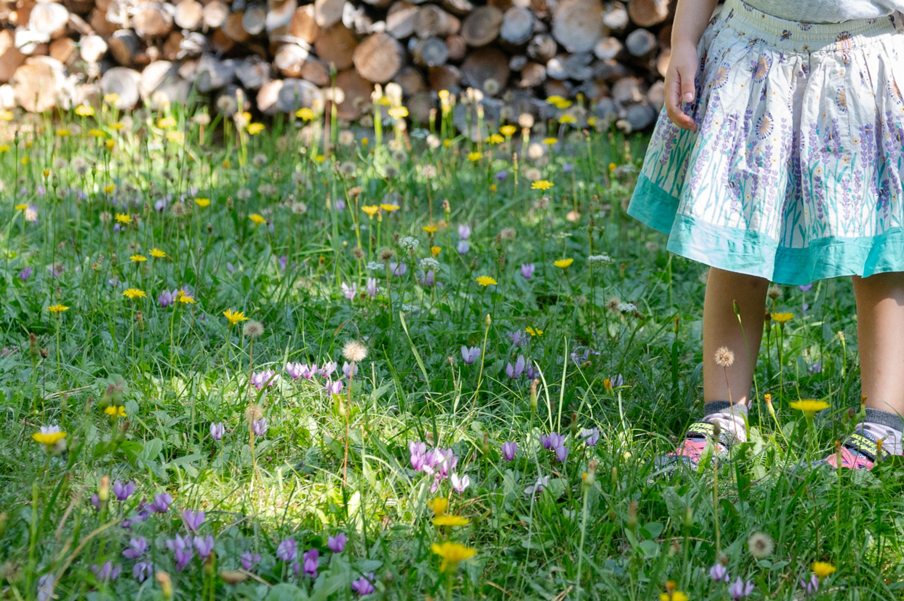 Blumenwiese am Weg mit Kind