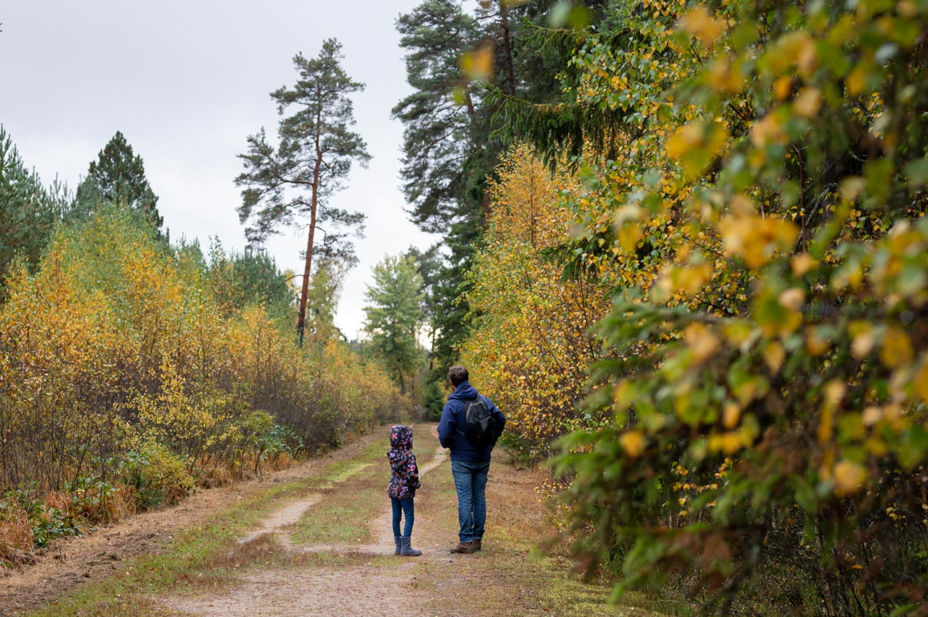 Mann mit Kind am Moorlehrpfad im Heidenreichsteiner Moor