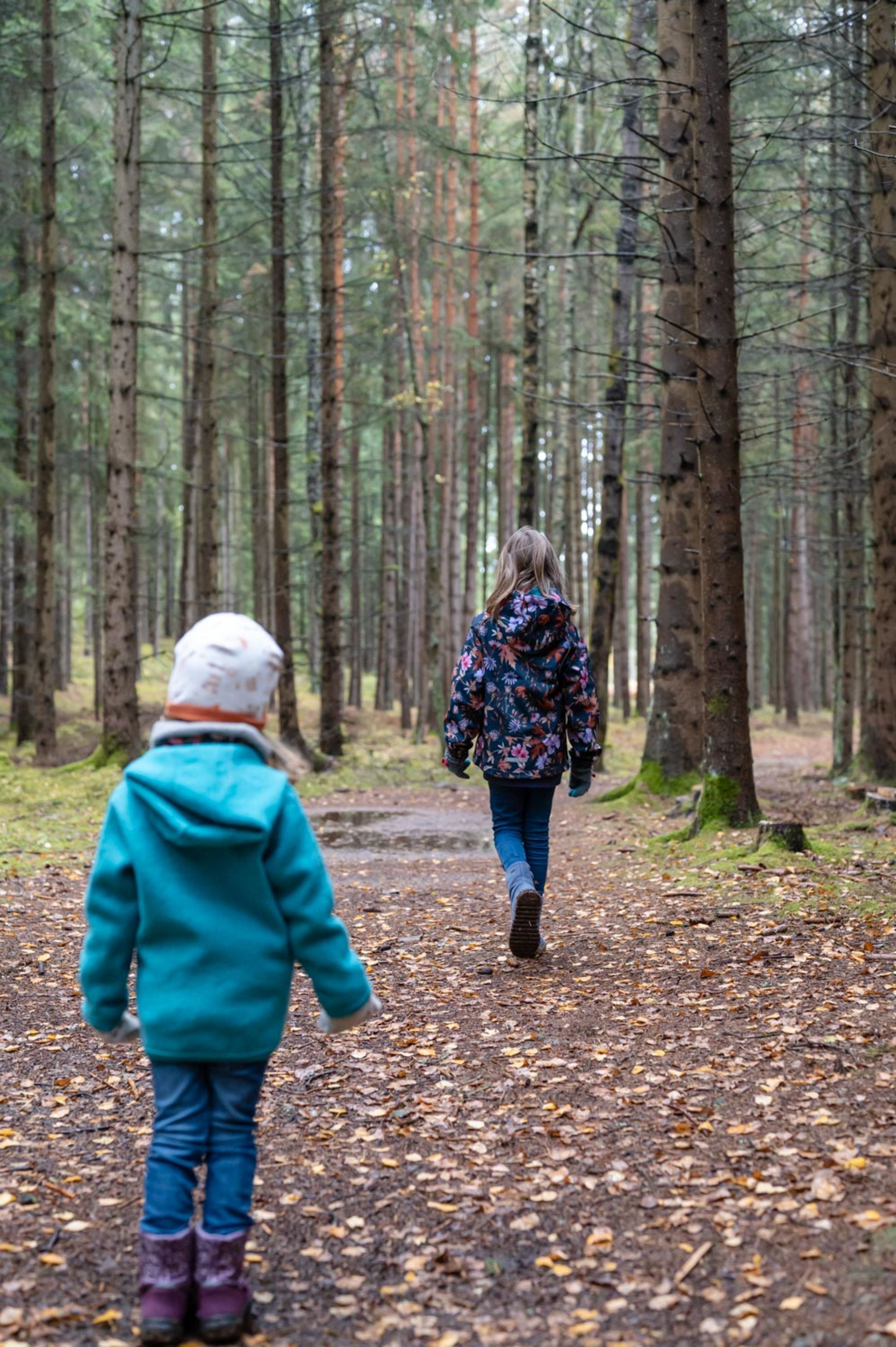 Kinder am Moorlehrpfad im Heidenreichsteiner Moor