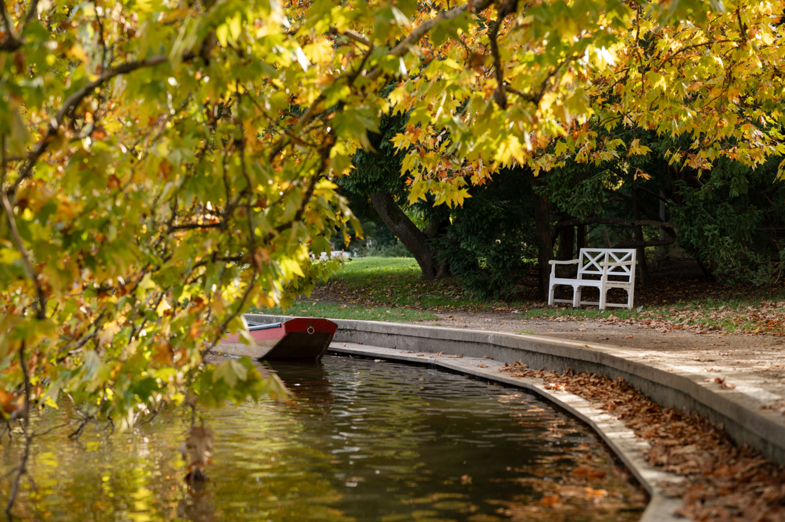 Boot im Schlossteich in Laxenburg