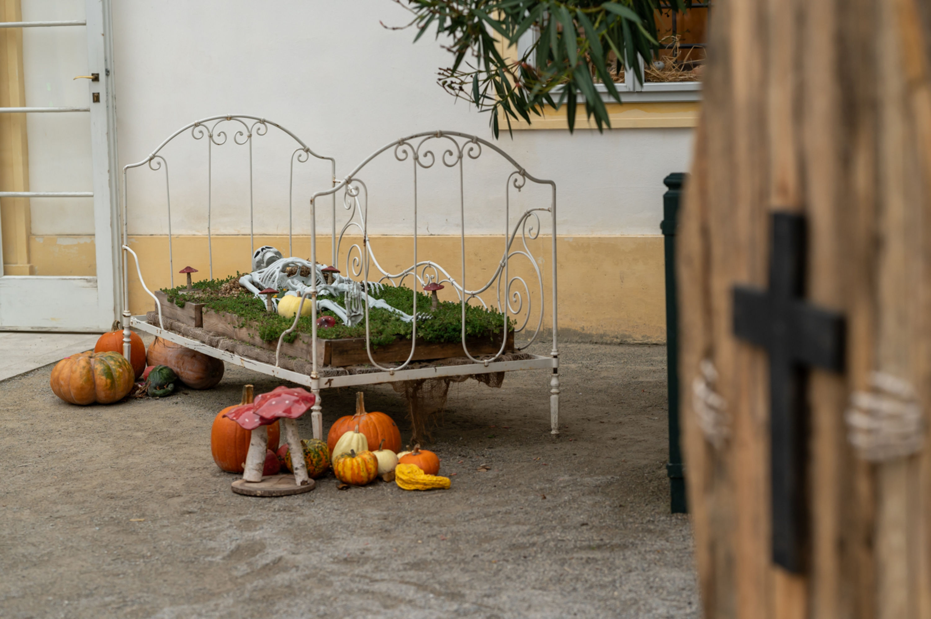 Gruseliger Herbst auf Schloss Hof