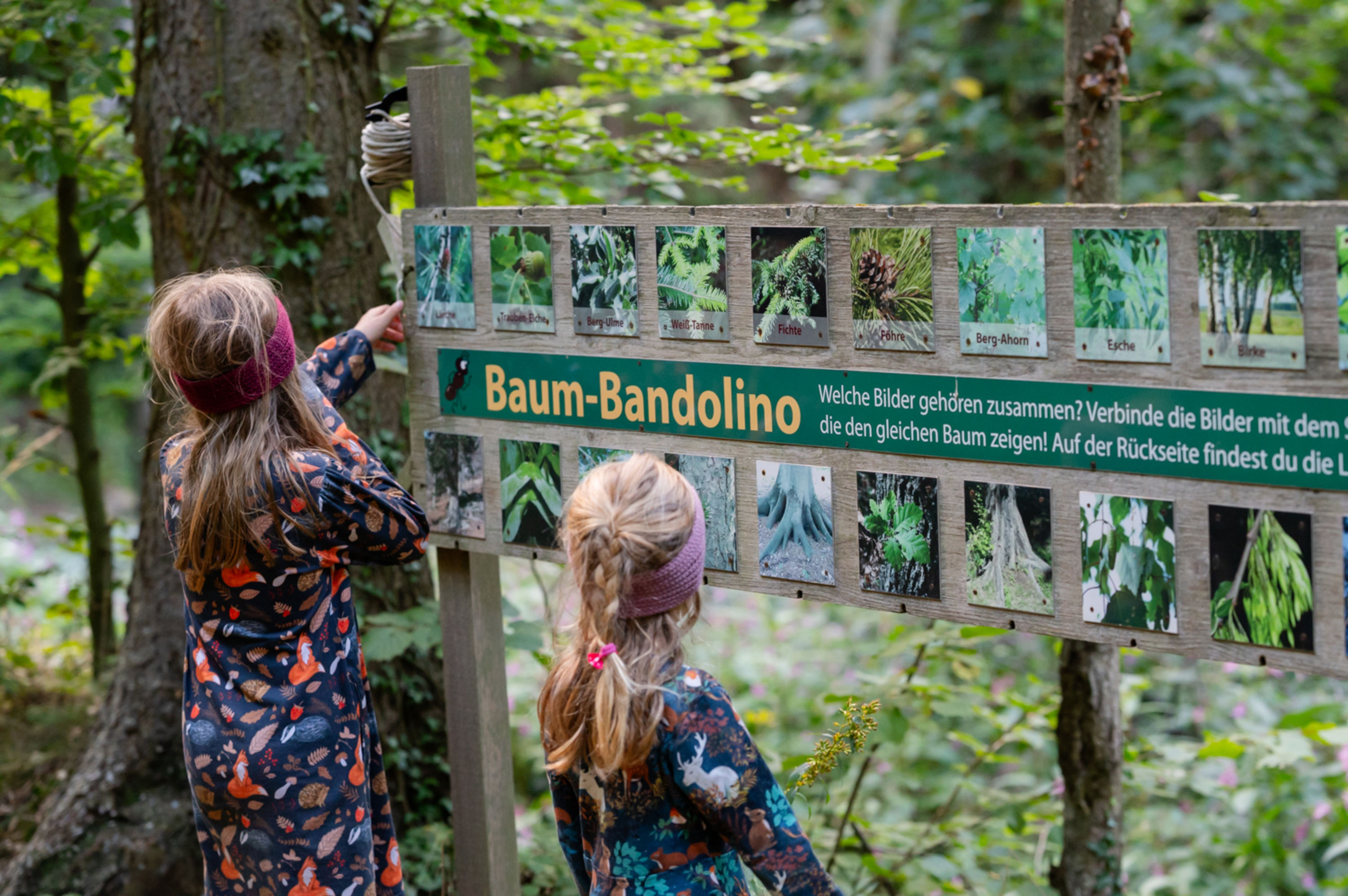Kinder beim Baum-Bandolino am Walderlebnisweg Gschaidt