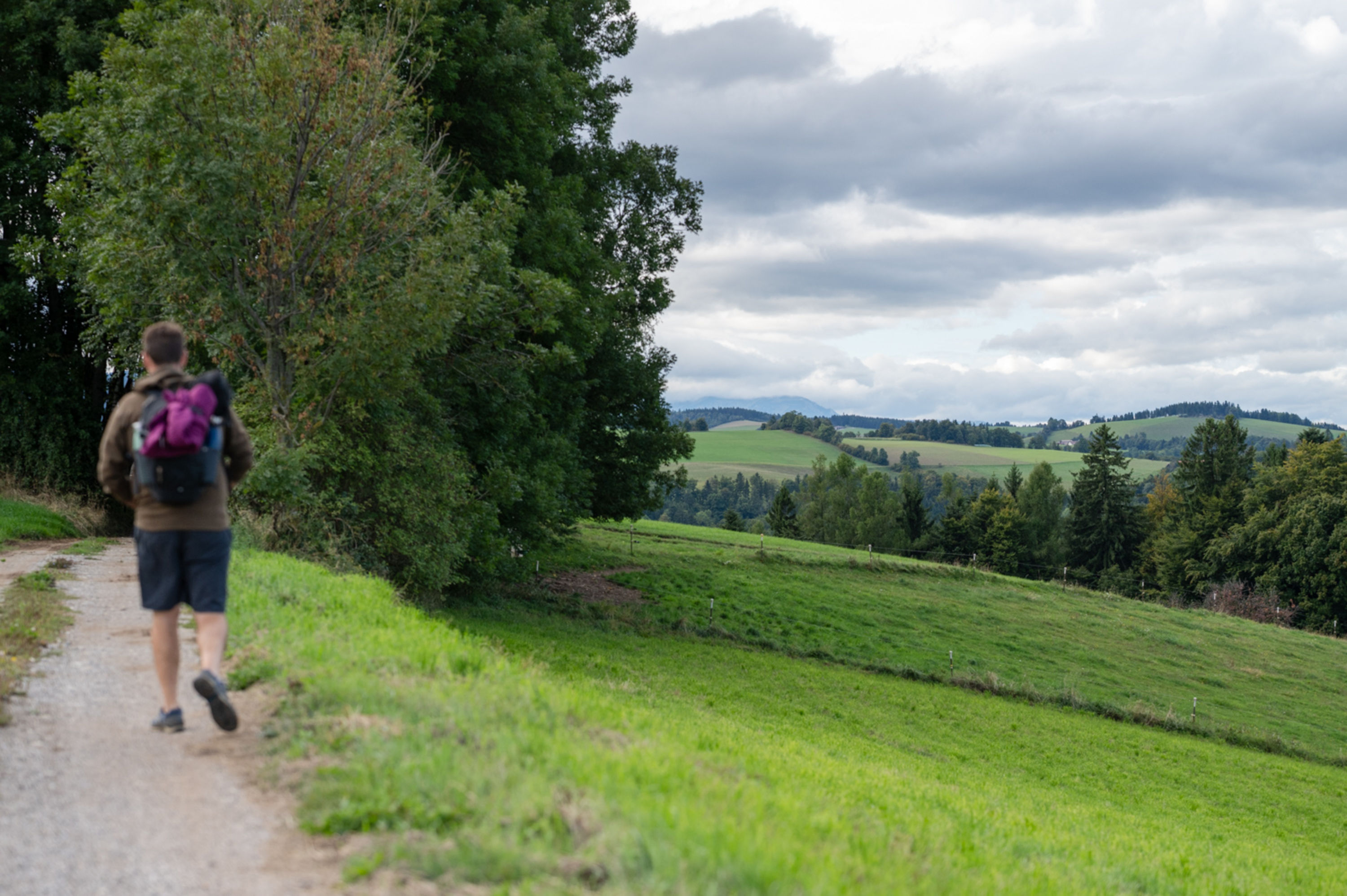 Wanderer am Walderlebnisweg Gschaidt