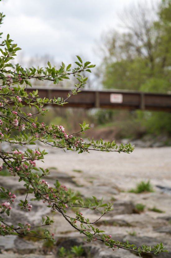 Brücke über die Leitha, Katzelsdorf