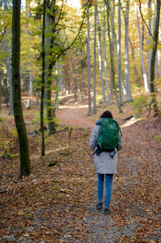 Grössenberg, Wandern zur Gipfelwiese durch den Herbstwald