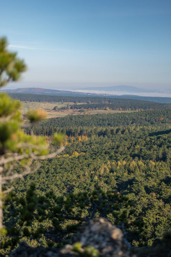 Aussicht vom Grössenberg in Richtung Dreistetten