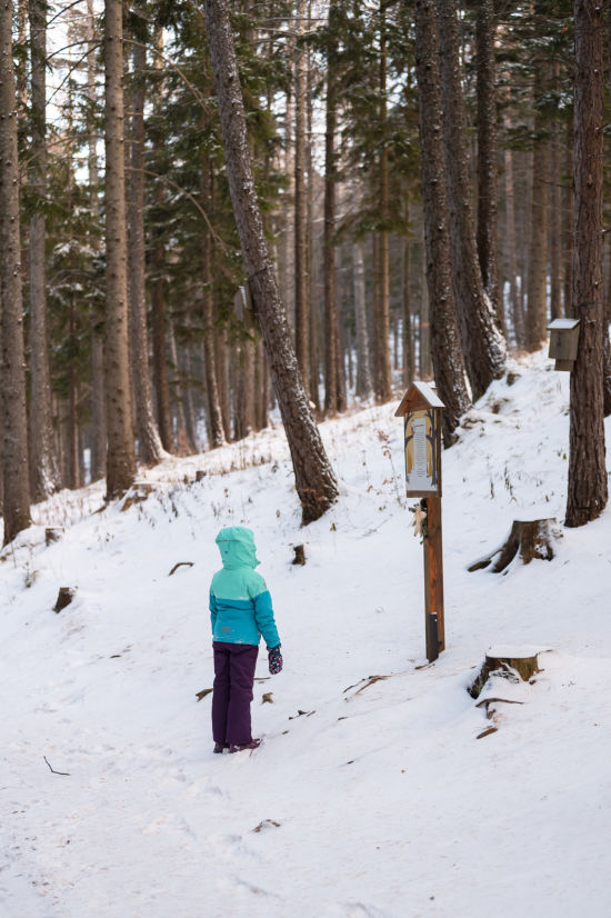 Themenweg Sternchens Waldadvent auf der Hohen Wand