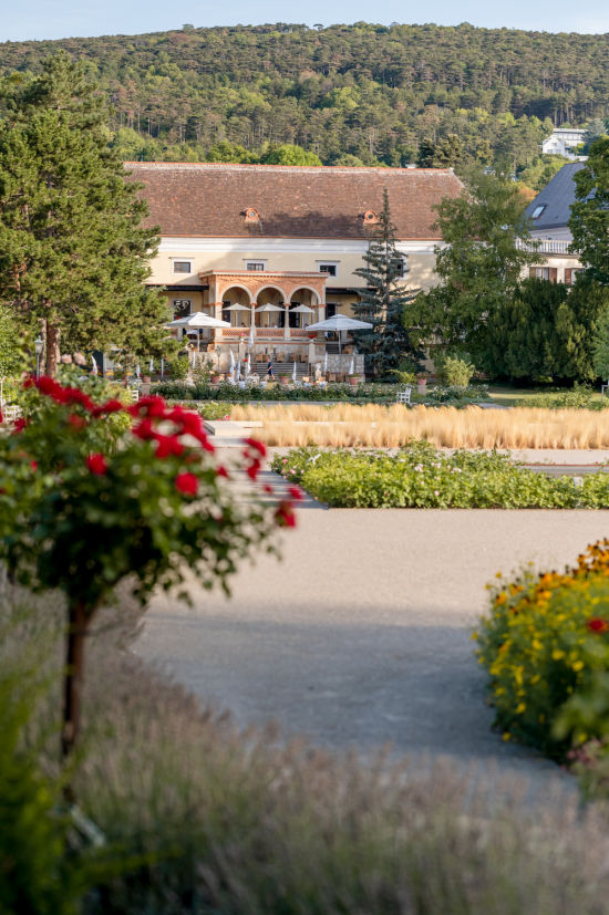 Blick aufs Schloss Weikersdorf mit Rosen im Vordergrund