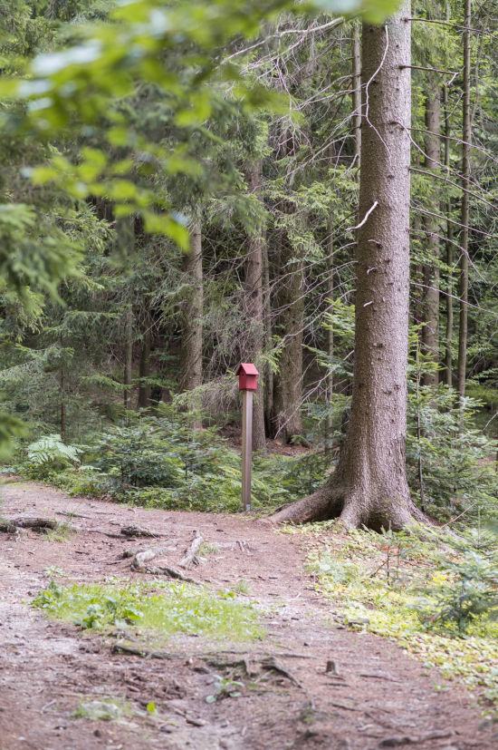 Bakabu Kindererlebnisweg am Hutwisch, Vogelhäuser im Wald