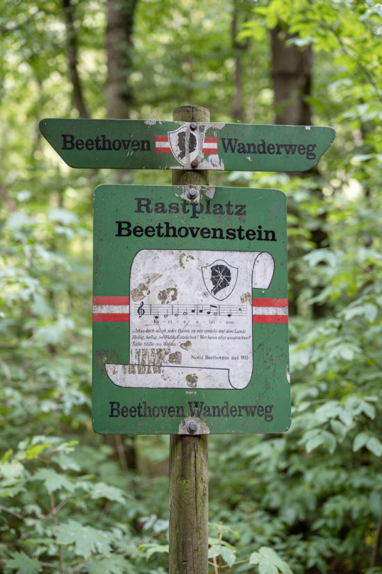 Rastplatz Beethovenstein beim Wandern in Baden