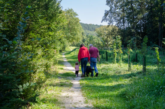 Hexenweg bei Bromberg, Spaziergang mit Kleinkind und Hund